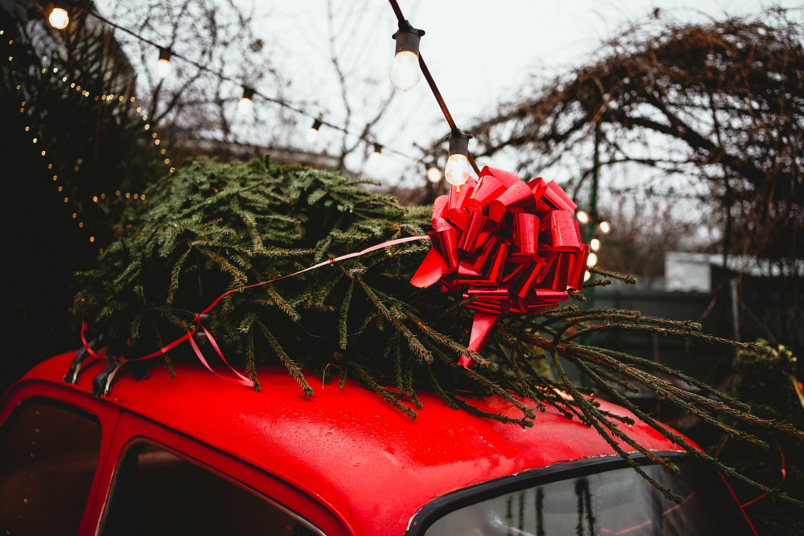 Семейная фотосессия в фотостудии Авокадо. Ростов-на-дону. Свадебный фотограф в Ростове-на-Дону. Таинство Крещения и Венчания, семейные фотосессии. Алёна Чёботова