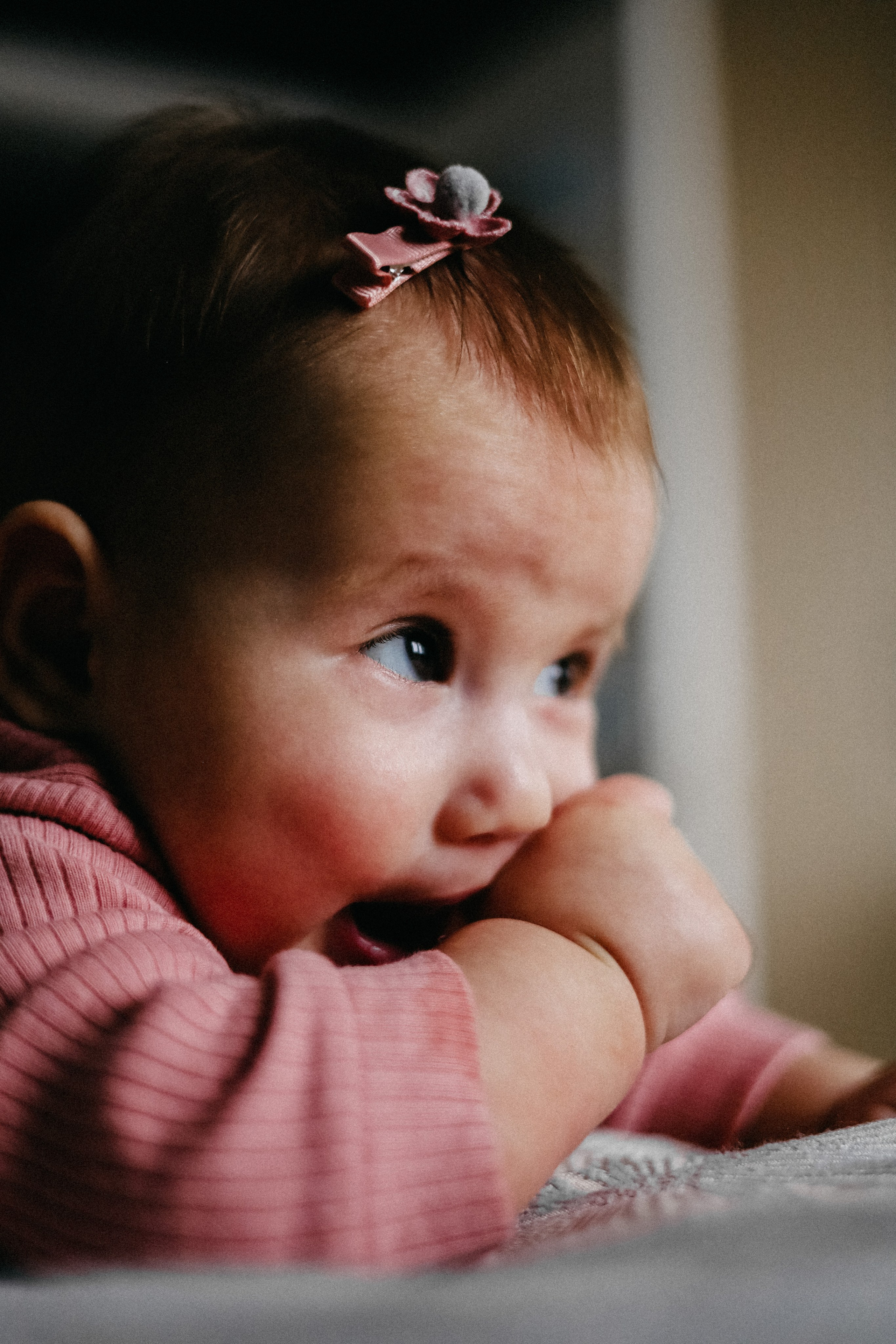 Домашняя. Фотограф Оксана Пономарева