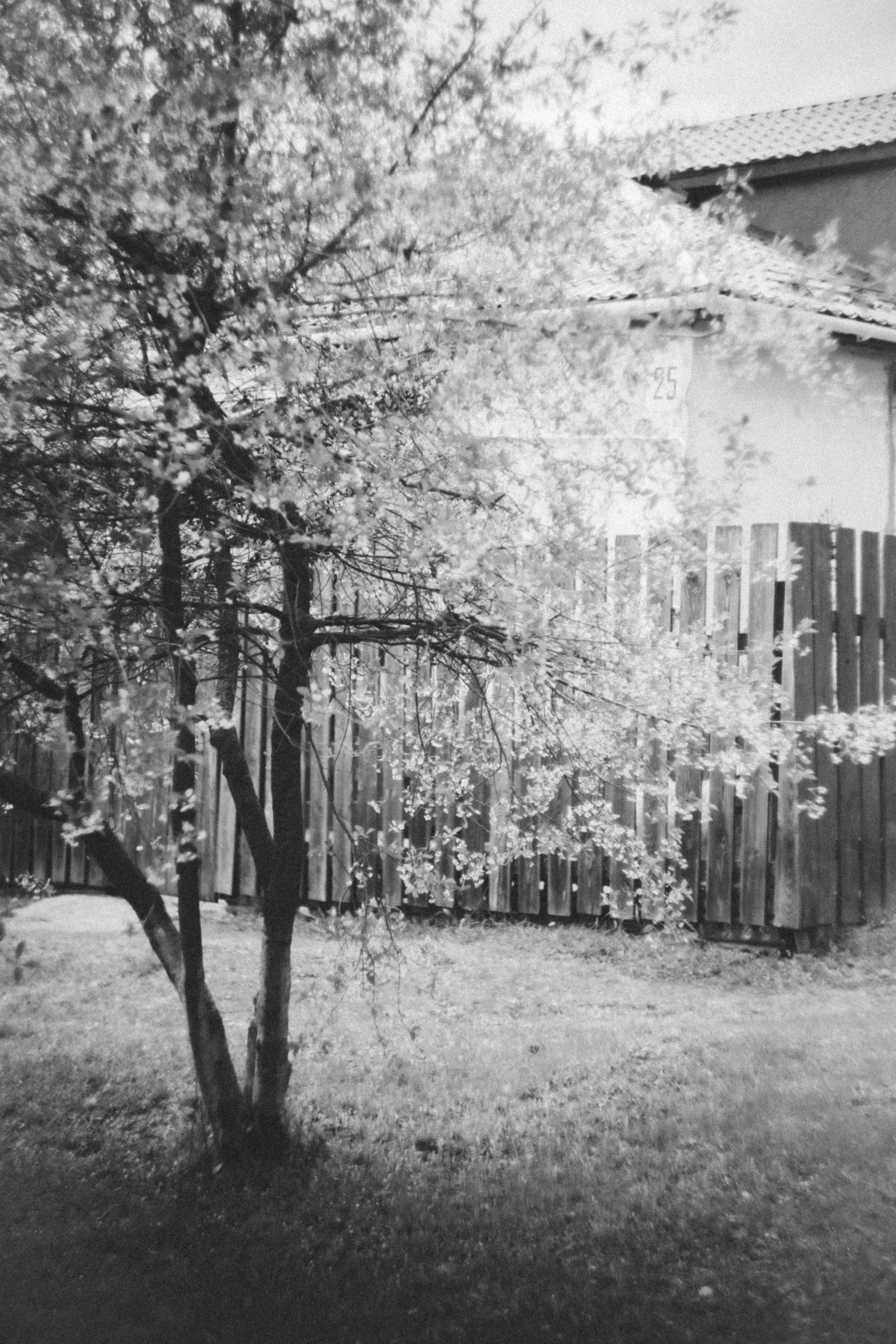 Г О Р О Д. Фотограф в Нижнем Новгороде