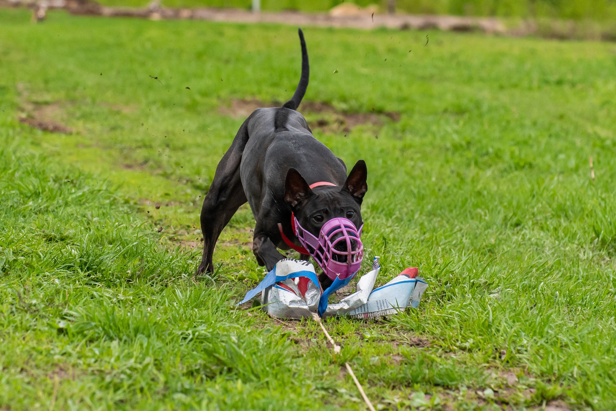 Фотографии с Курсинга. Фотограф Макс Огурцов в Нижнем Новгороде