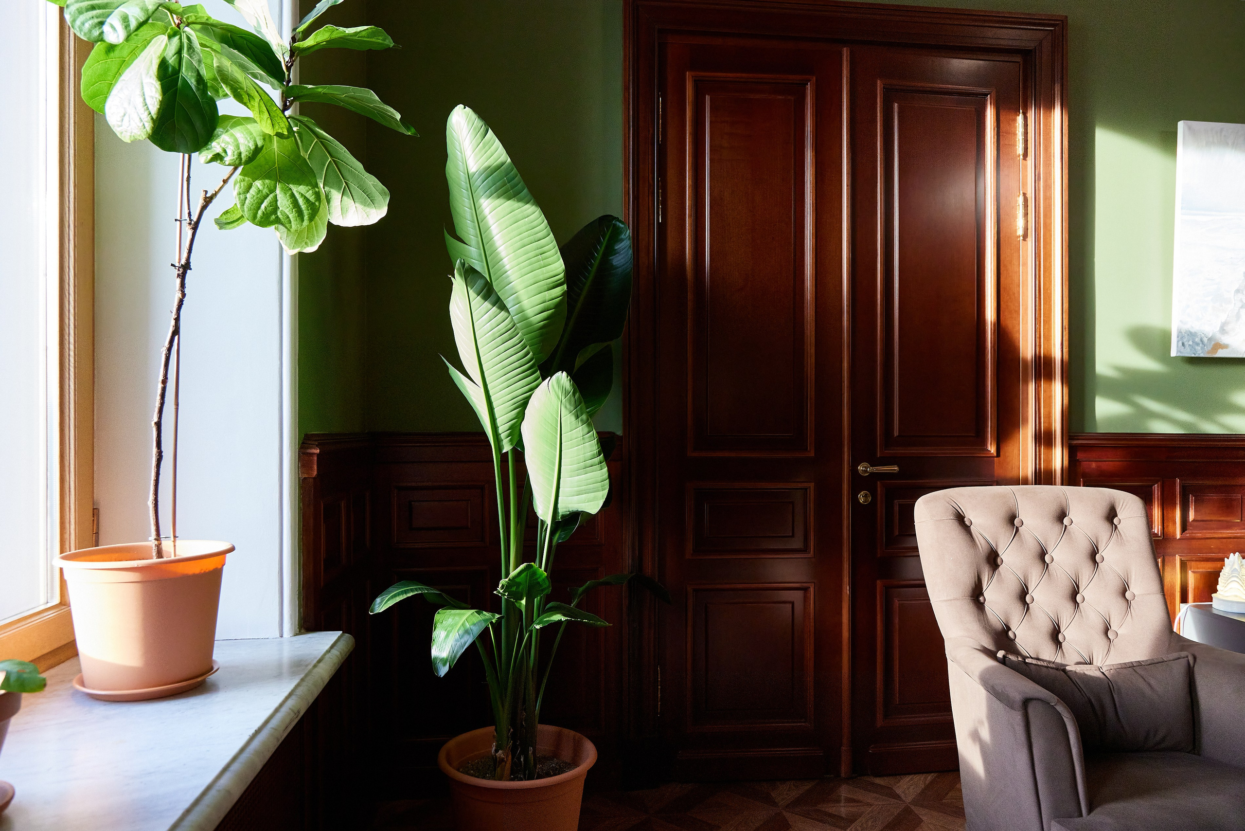 Массажный салон Эпоха возрождения. Фотограф Анастасия Леонтьева Санкт-Петербург