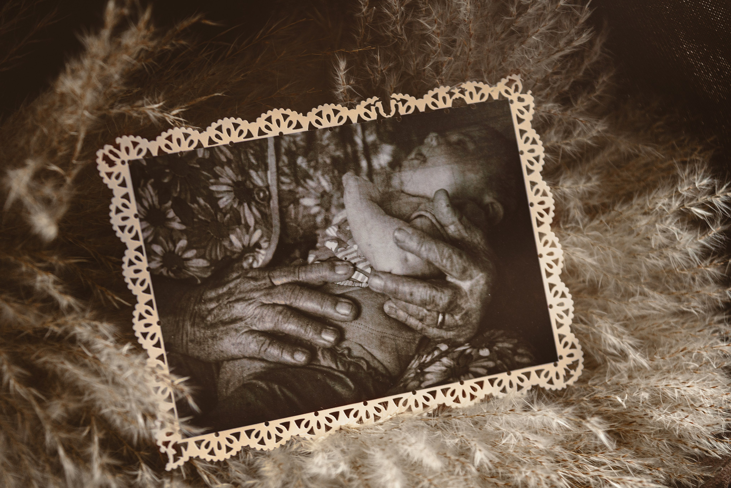 Проект «366»|2024|Фото каждый день. LENA GRACE photographer ||ЛЕНА ГРЭЙС фотограф