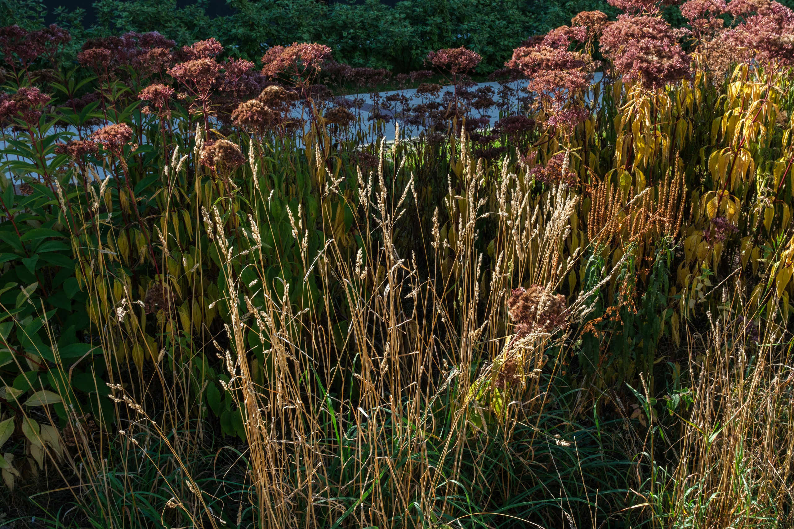 Жилой комплекс Nagatino i-Land | Бюро А4 | 2025. Михаил Мулач | Архитектурный фотограф