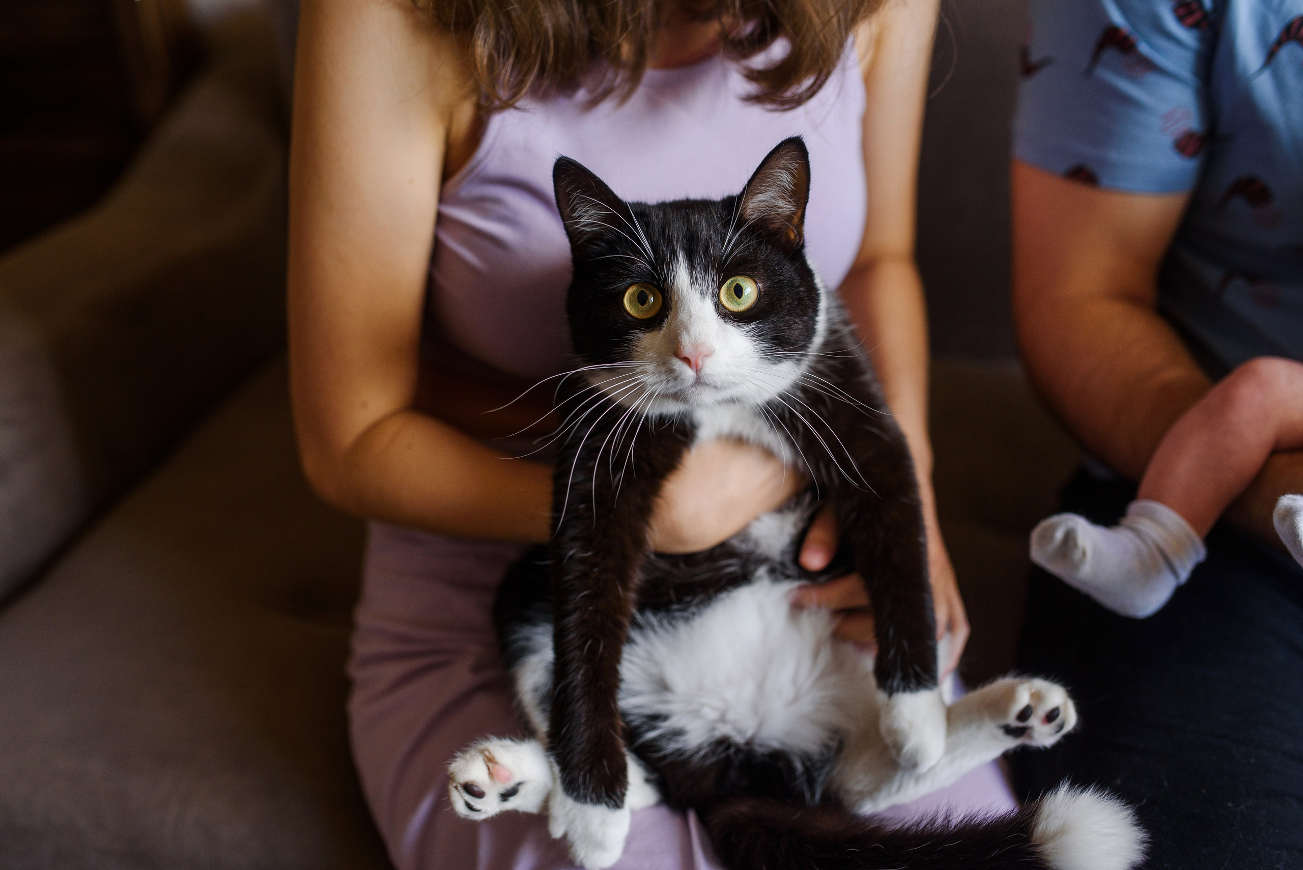 Домашняя. Свадебный и семейный Фотограф в Пензе Татьяна Лапоногова