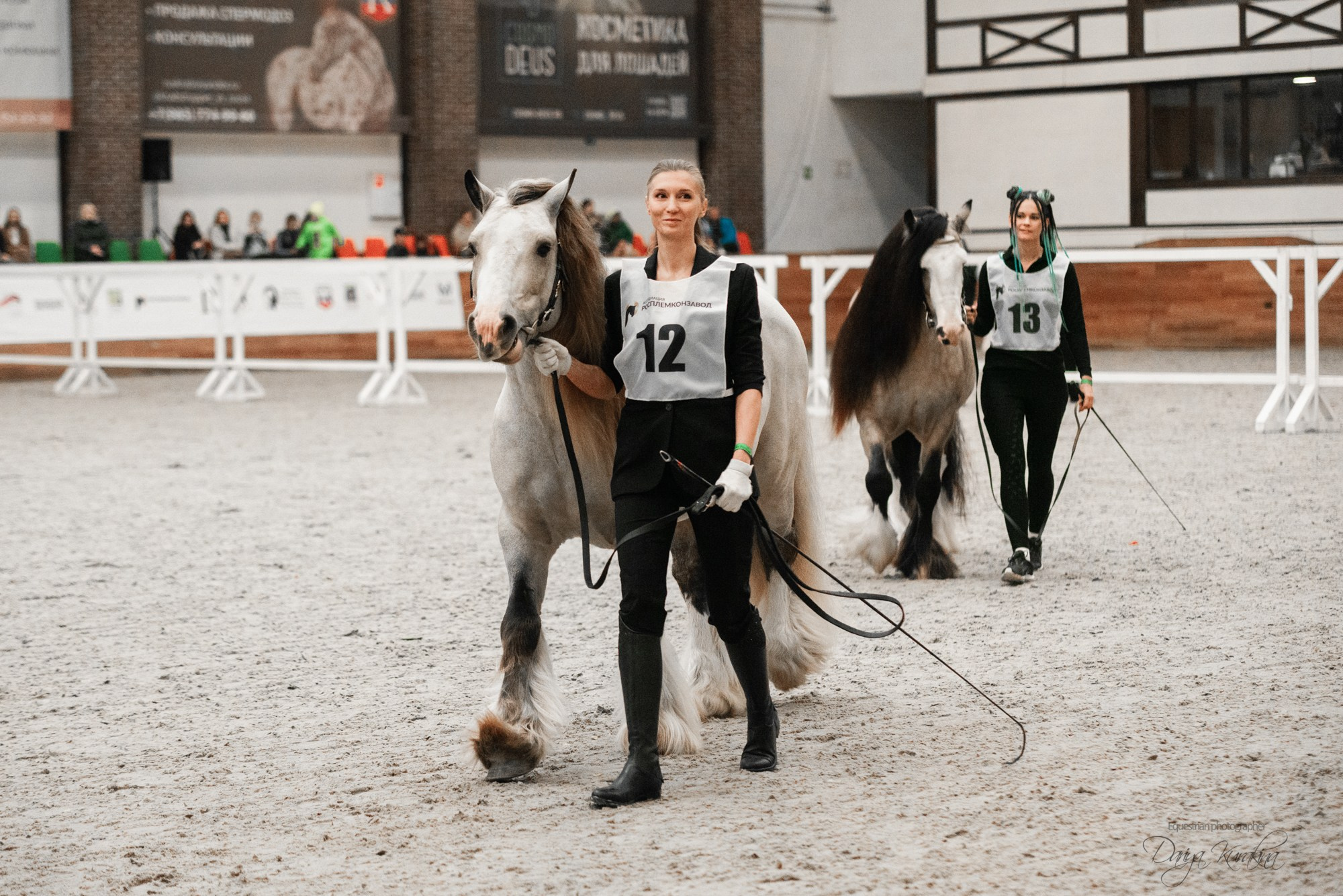8-я международная выставка Конная Россия. Конный фотограф Куракина Дарья • Фотосессии с лошадьми
