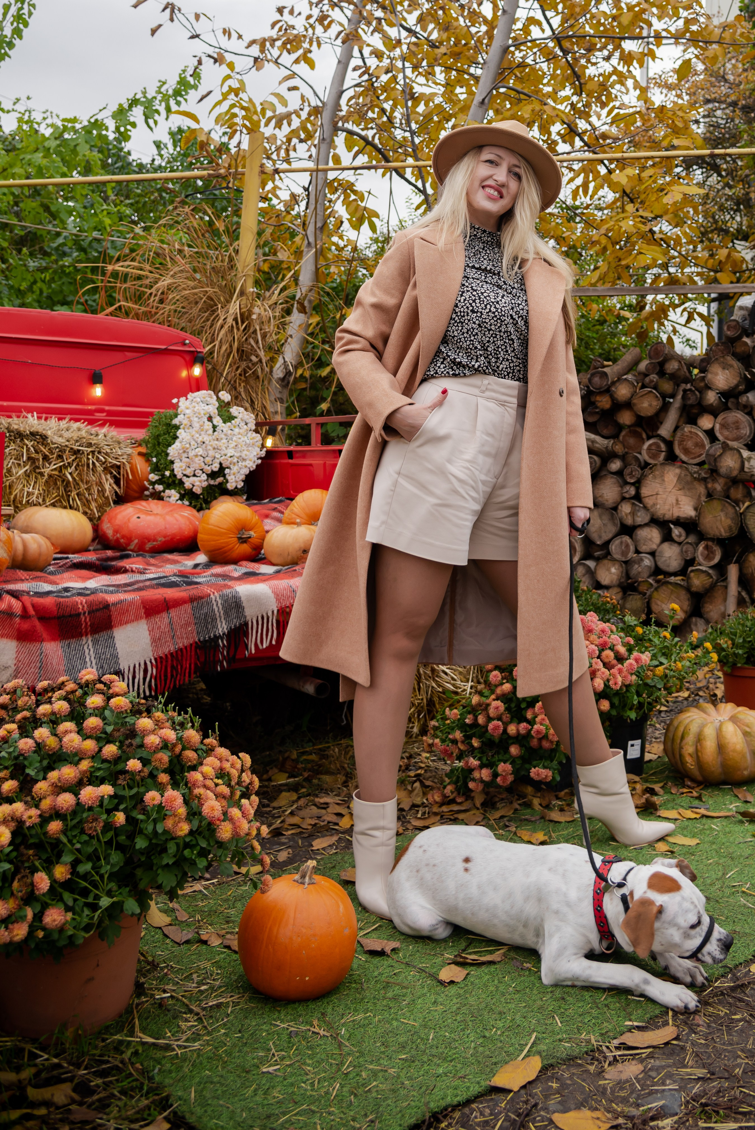 Авакадо. Фотограф Галина Нестерова