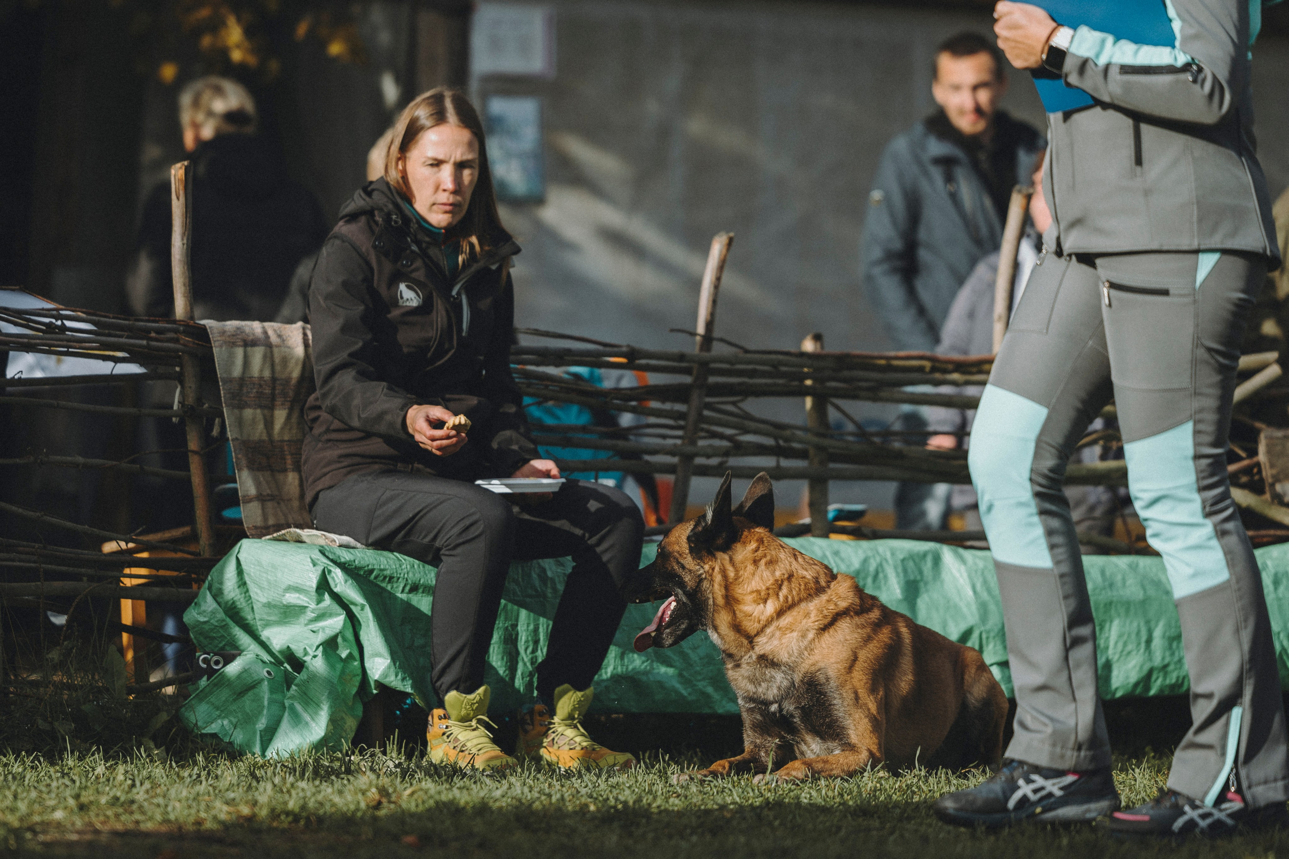 Испытания по мондьорингу г. Пушкин 29.09.2024. Фотограф-анималист Анна Маринич