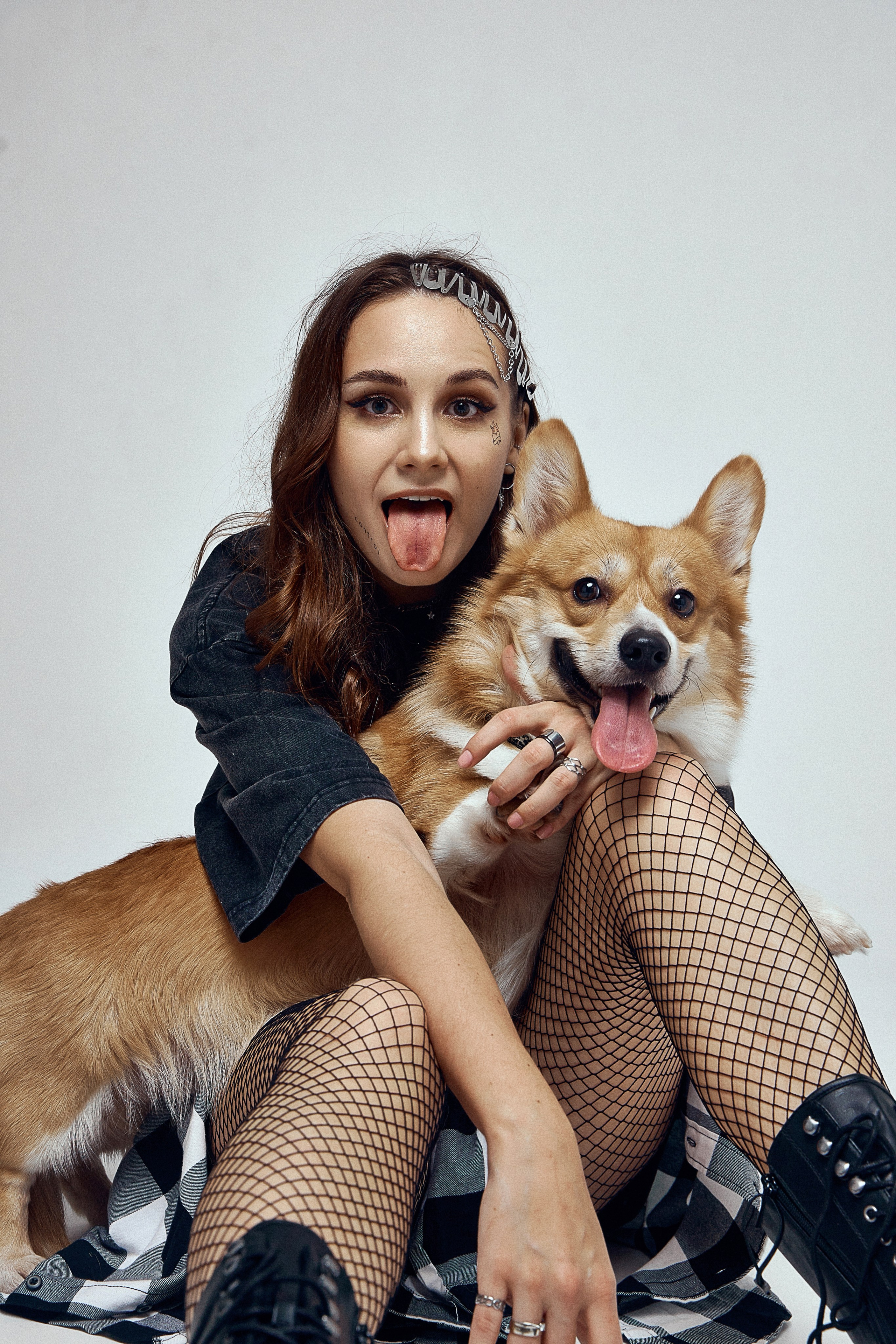 КОРГИ. Фотограф Санкт-Петербург