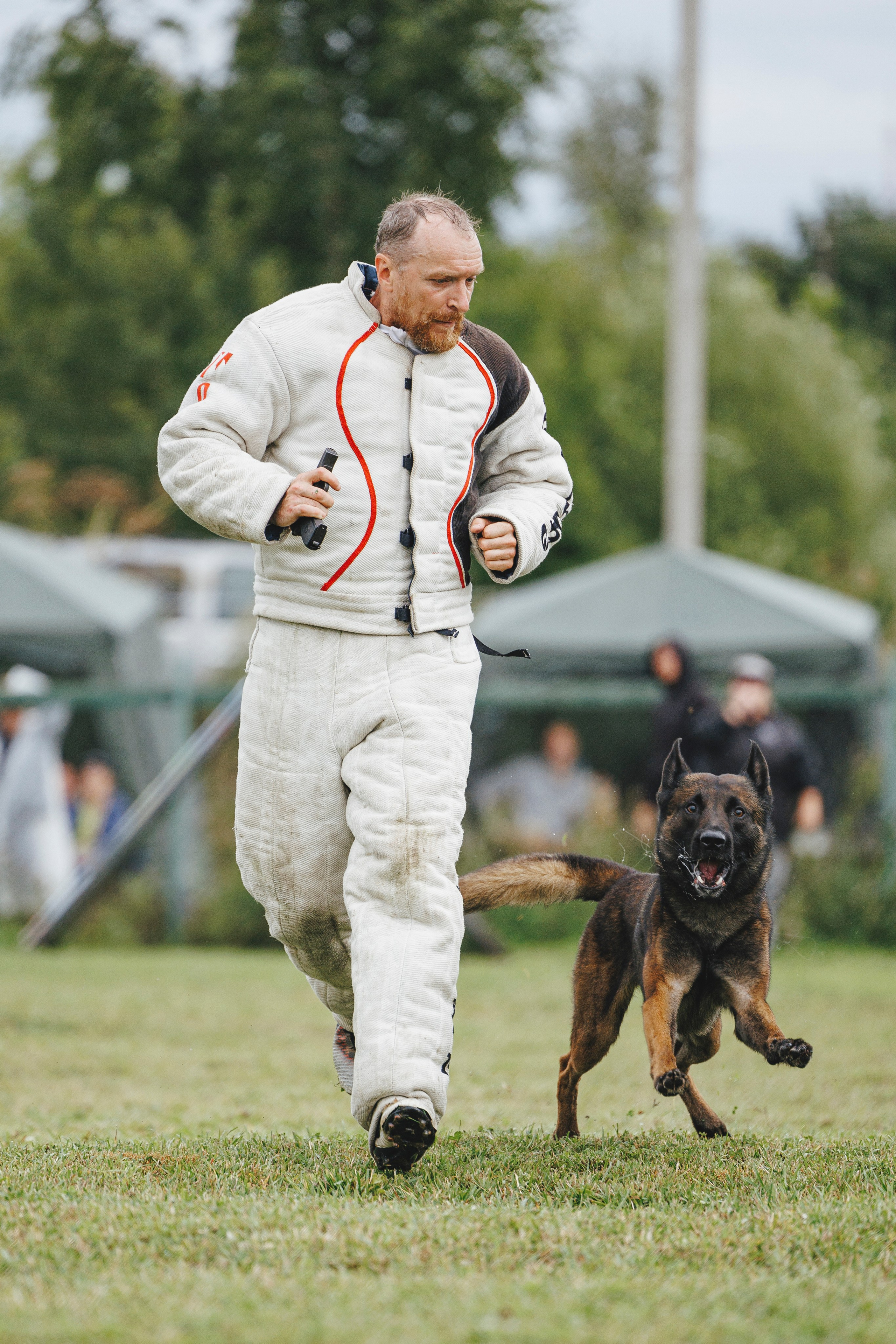 08.08.25-10.08.25 ЧР по мондьорингу г. Вологда. Фотограф-анималист Анна Маринич