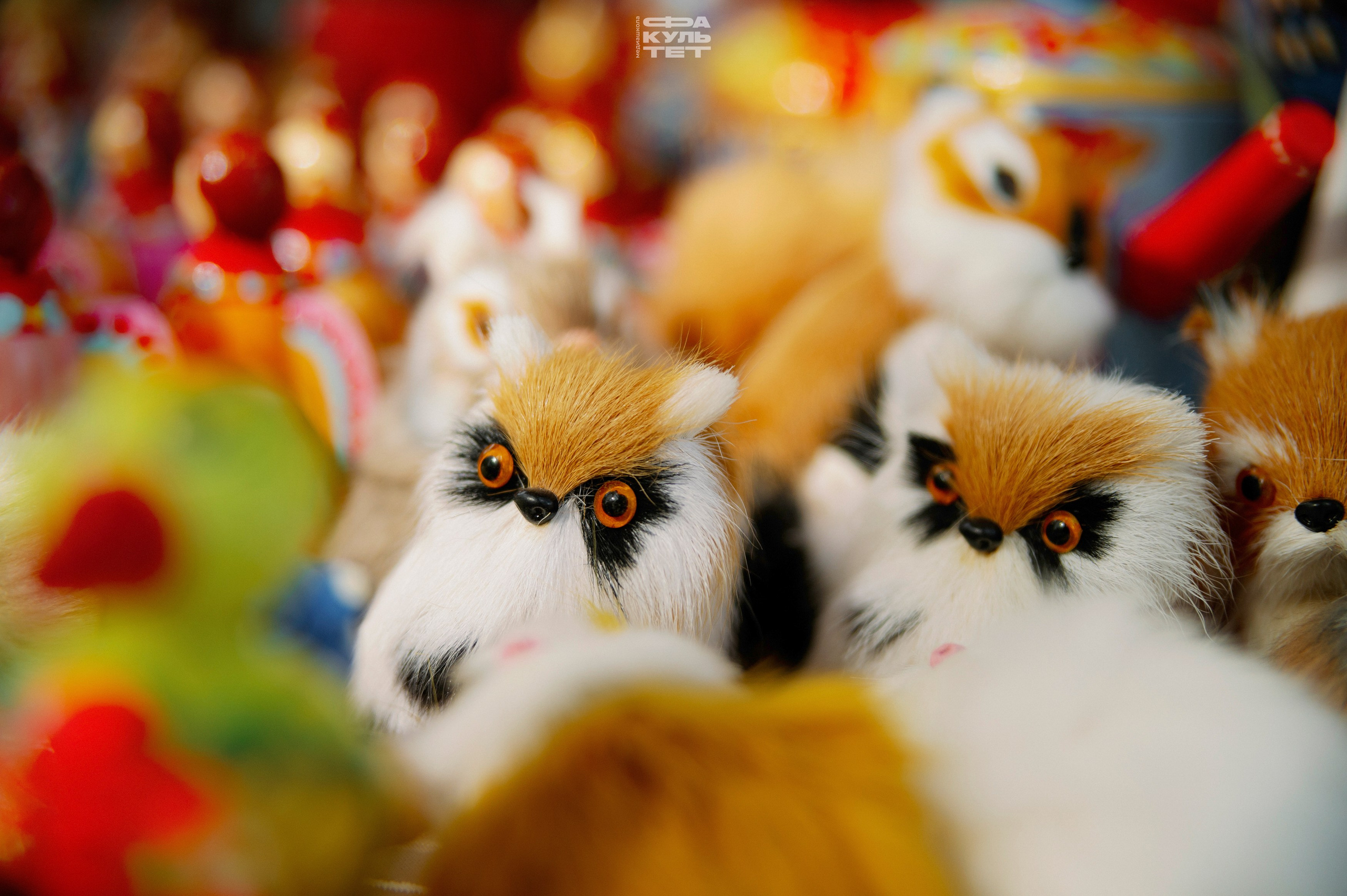 Вятская Свистопляска 2024. Контент фотограф Илья Урс