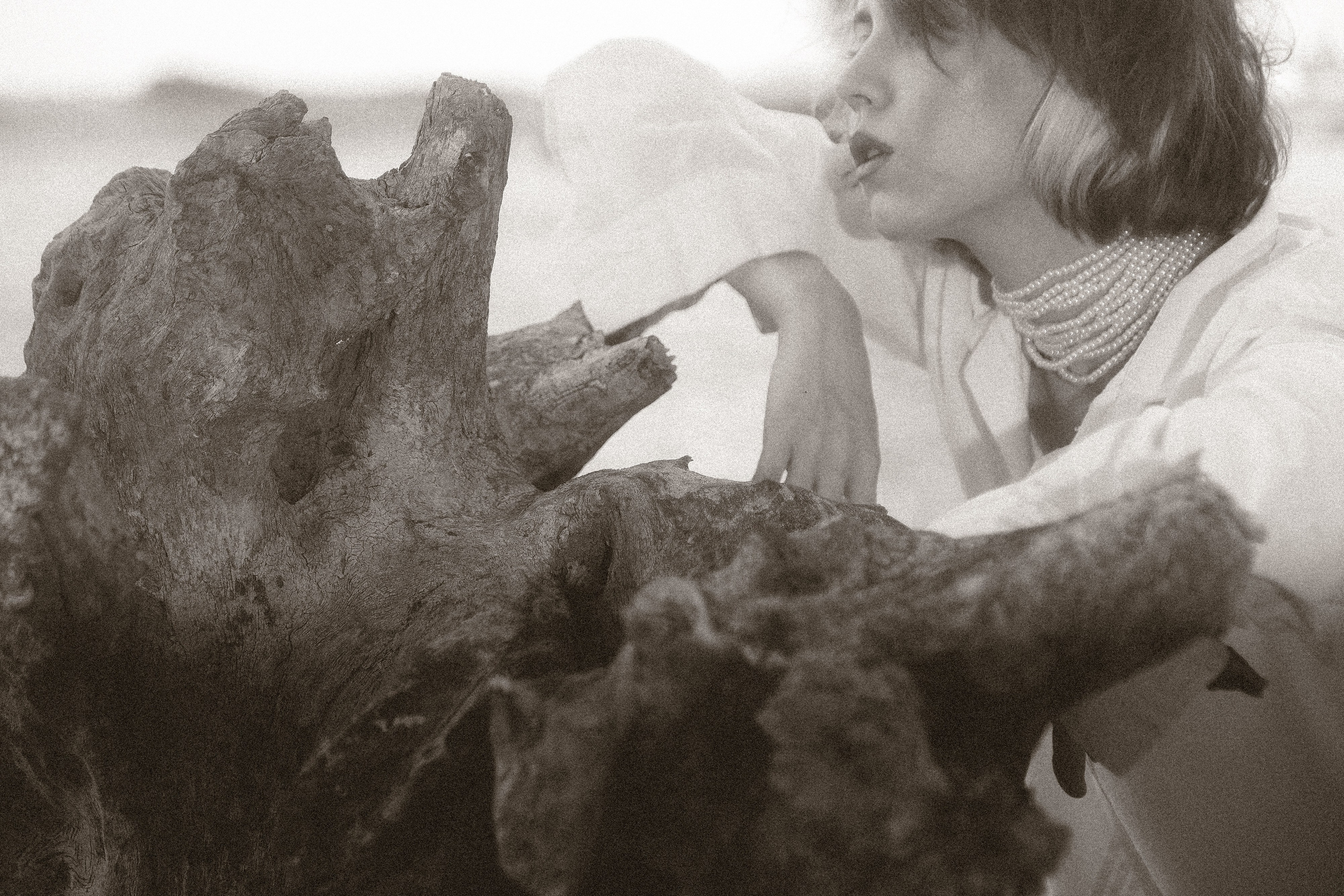 Скажи череп скольких овец. Сайт фотографа в Саратове