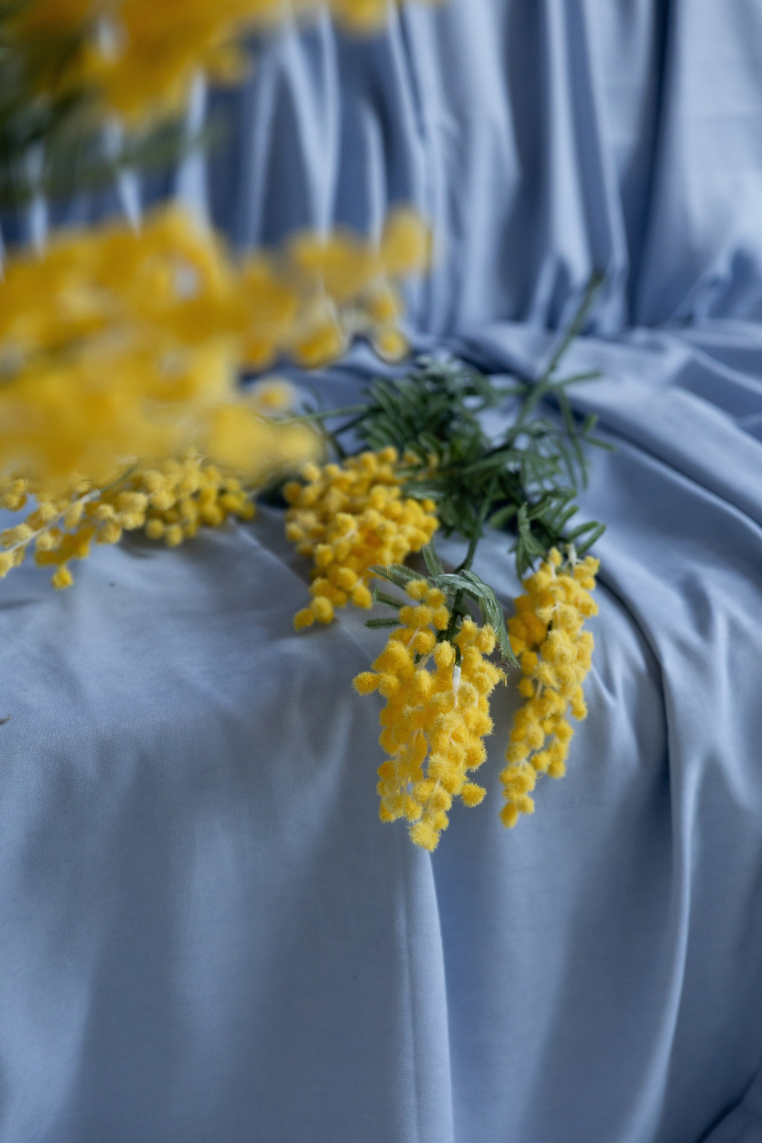 Дом, зал Бали (Калинина 189а). Портретный, семейный, свадебный фотограф в Брянске Маргарита Василькова