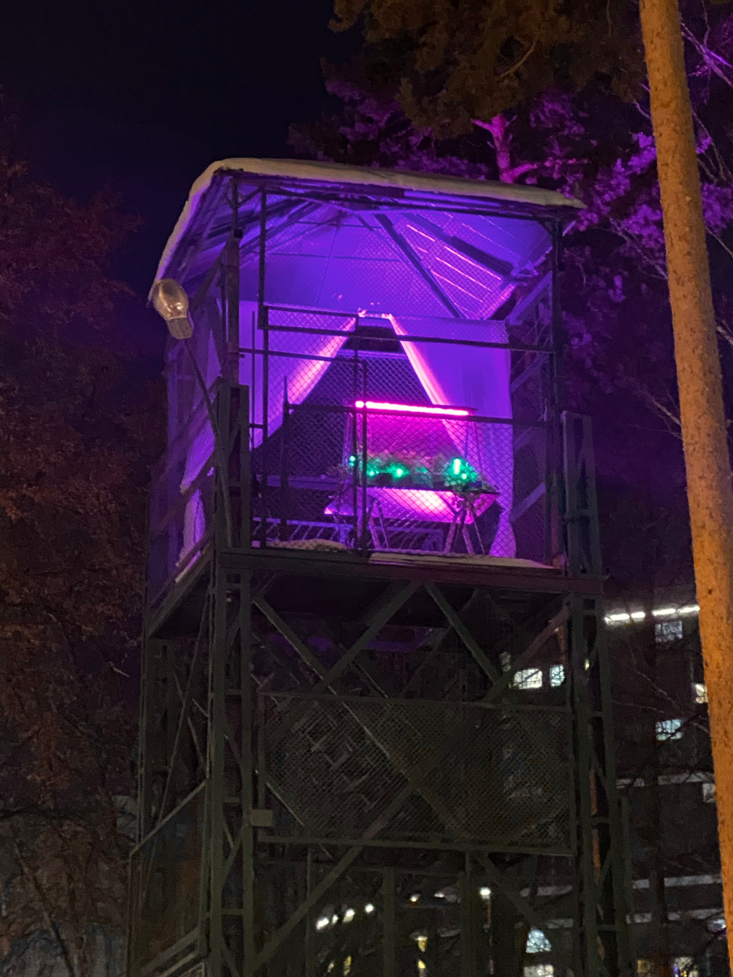 Windows. Artist Anna Snegina Художница Анна Снегина