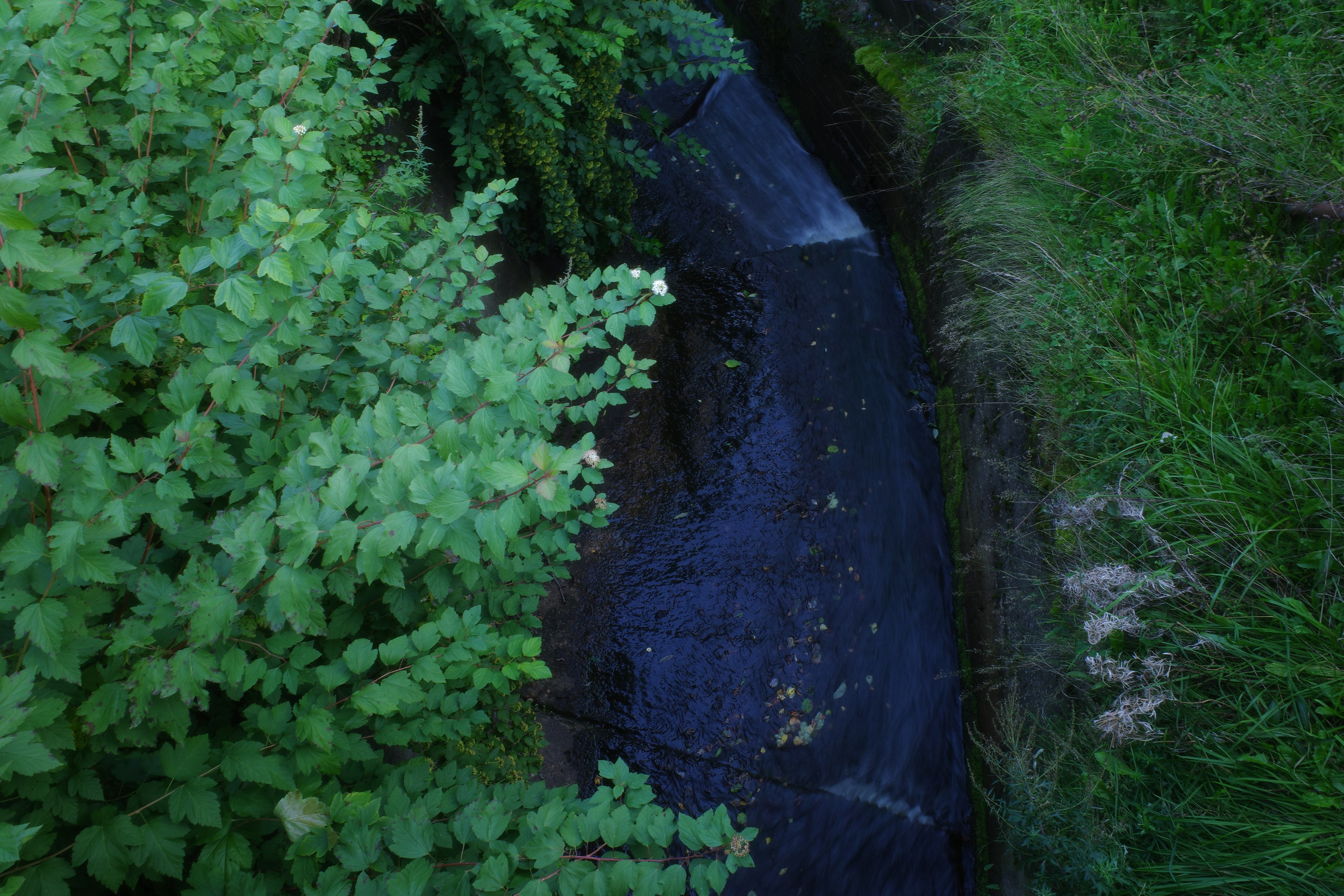 Галерея Ricoh GR3 HDF. Константин Устинов — фотограф