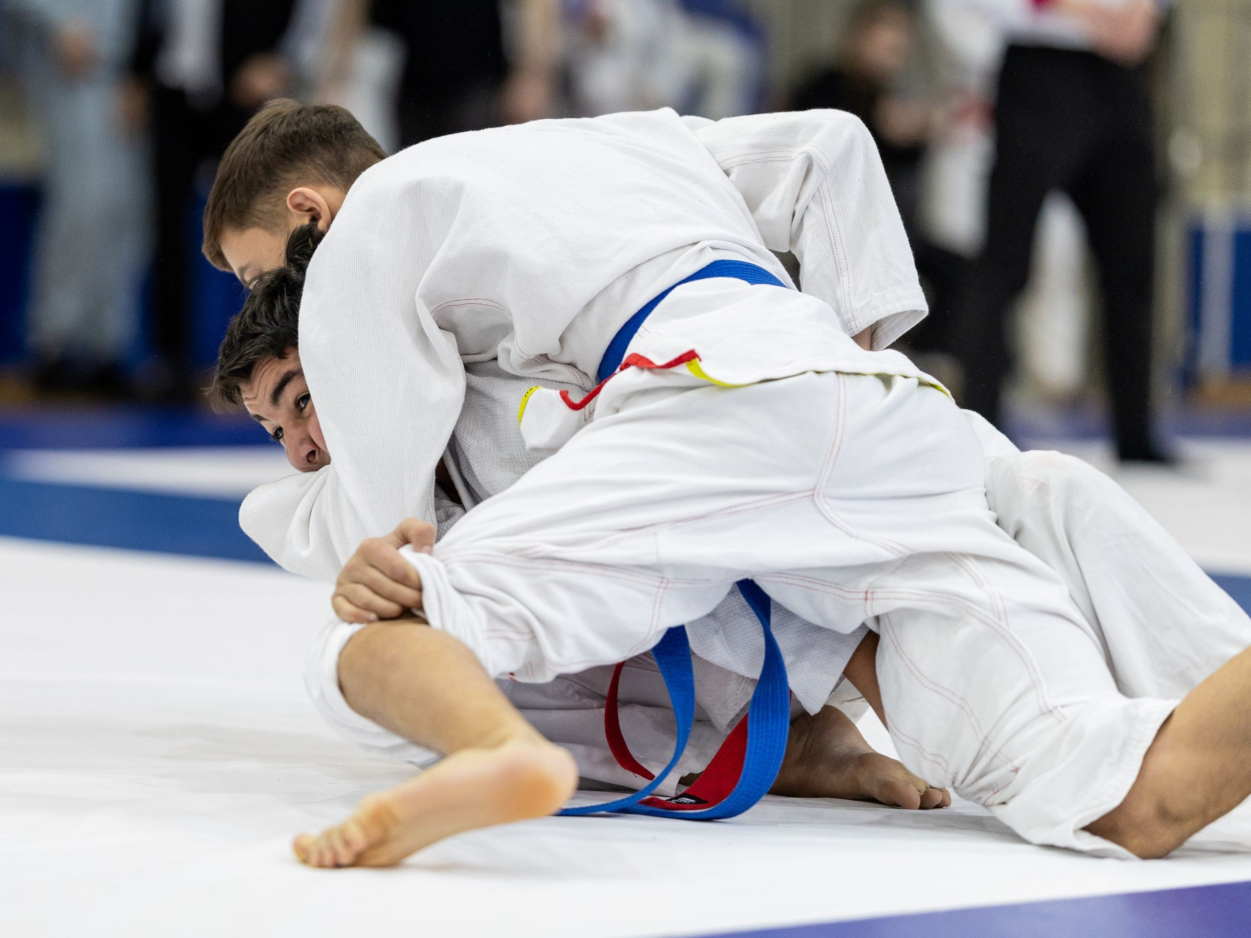 Единоборства. Спортивный фотограф Фёдоров Александр