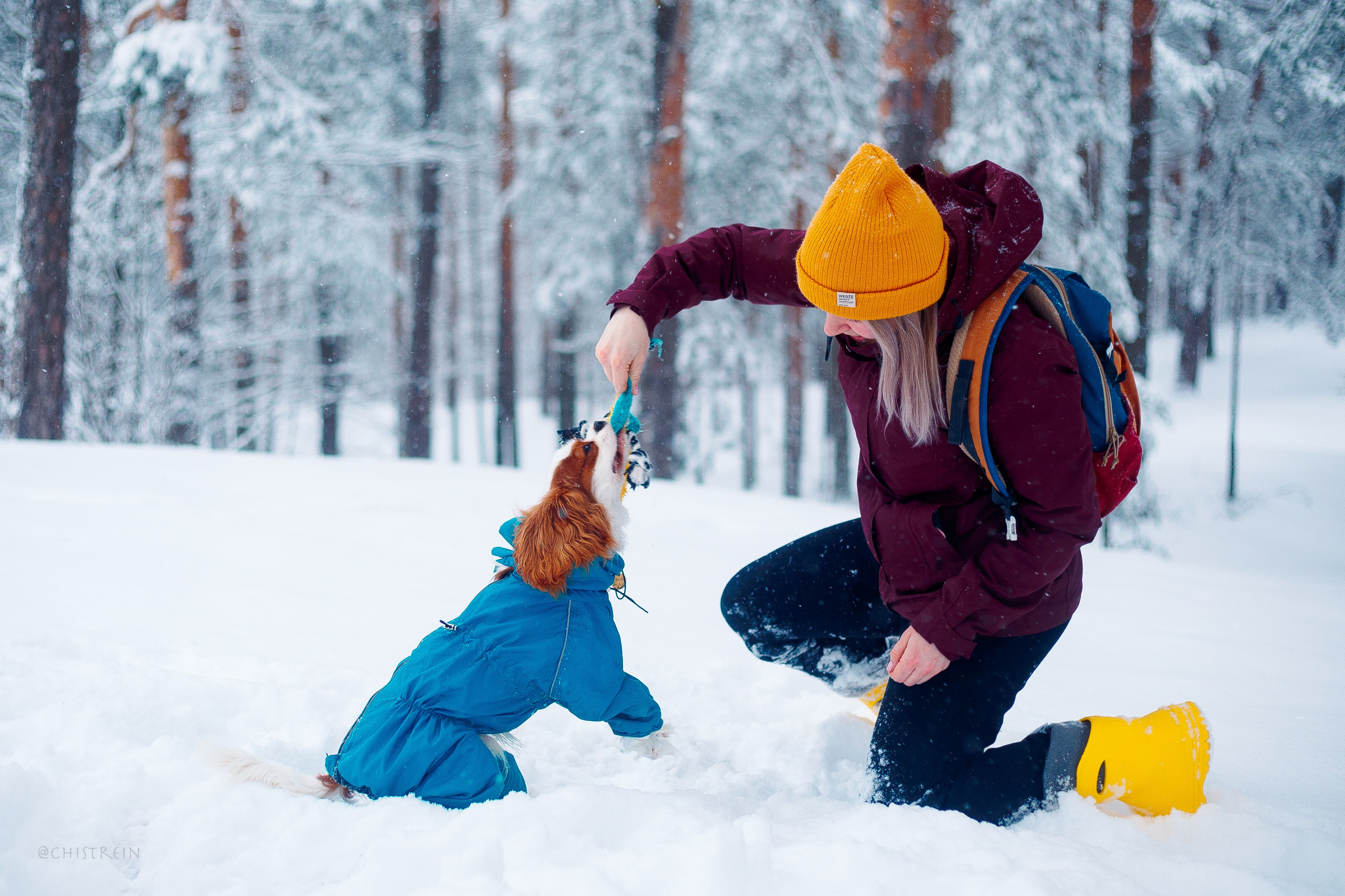 Внезапно апрельская зима. Фотограф-анималист Наталия Чистюхина в г. Сосновый Бор и ЛО