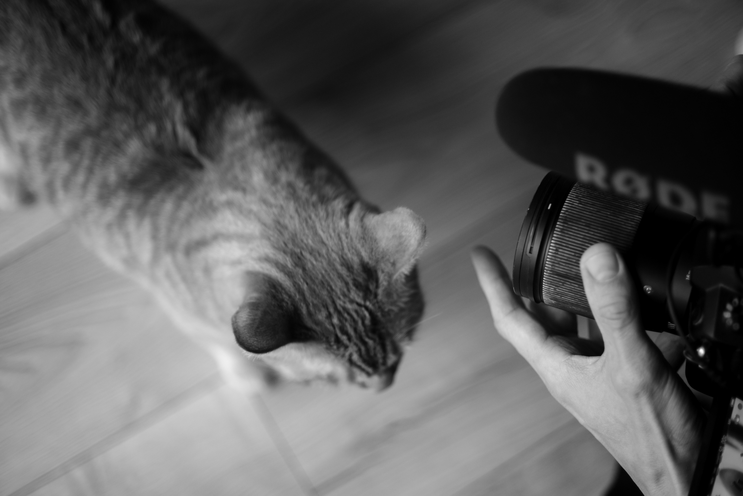 Just the two of us. Фотограф в Астрахани Миронова Анастасия