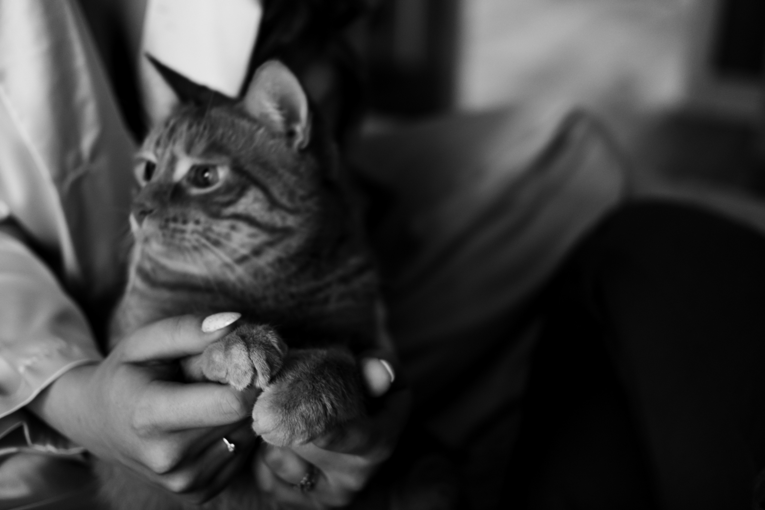 Just the two of us. Фотограф в Астрахани Миронова Анастасия