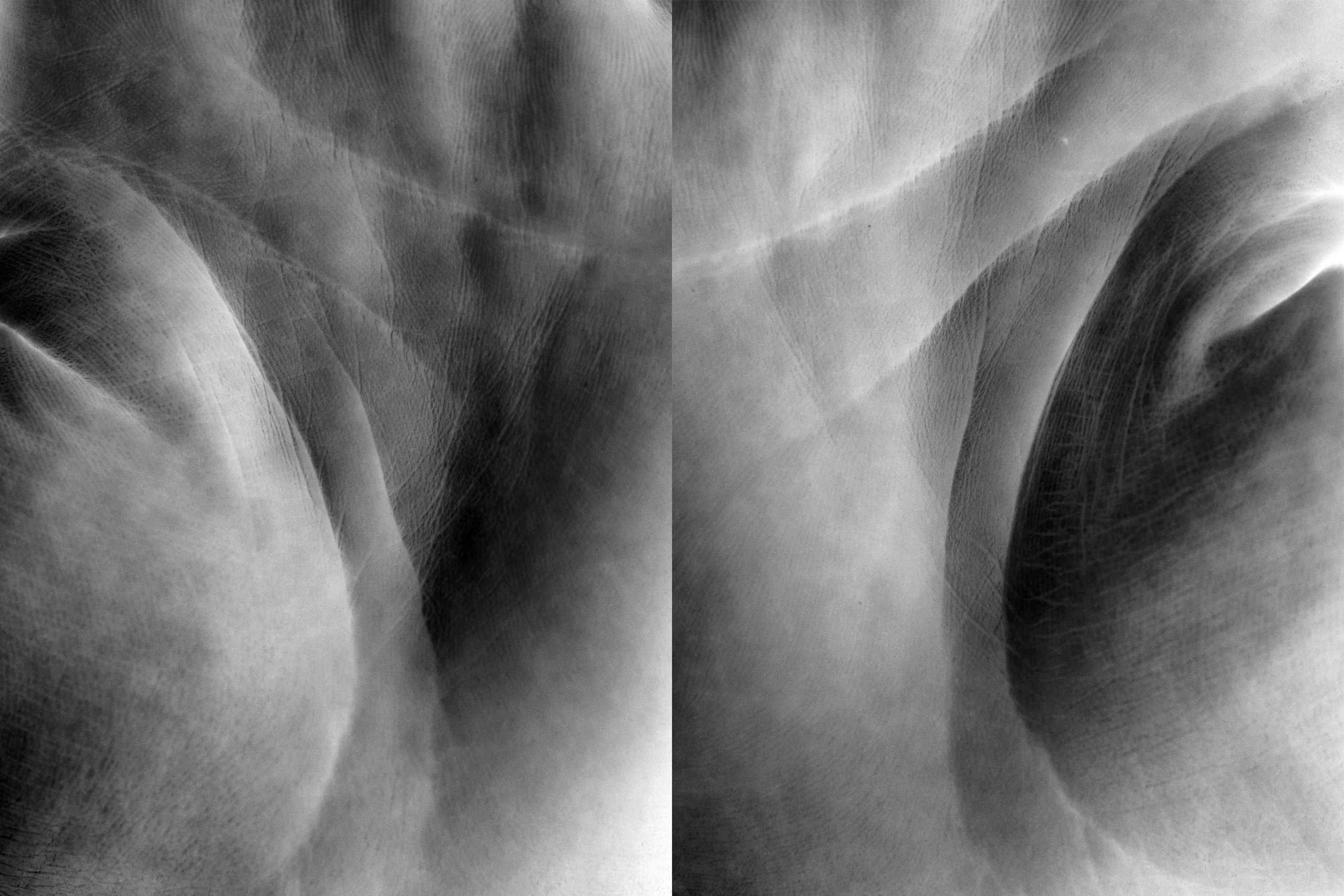 ЛИЦО. Междисциплинарная художница Мария Кокунова Санкт-Петербург