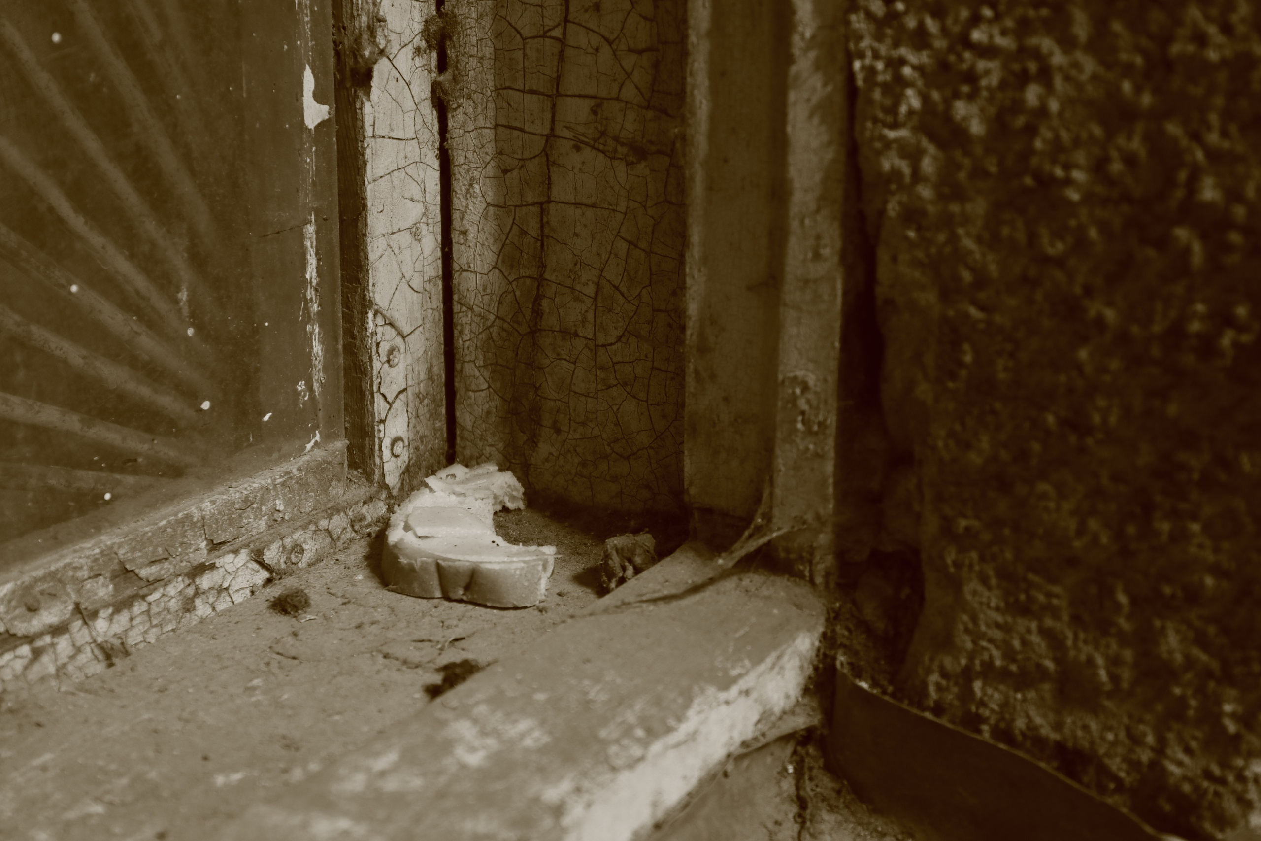 Крым. ЮБК (Севастополь, Кастрополь, Ялта). Май 2023. Путешественник-фотограф из Санкт-Петербурга Татьяна Свистулина