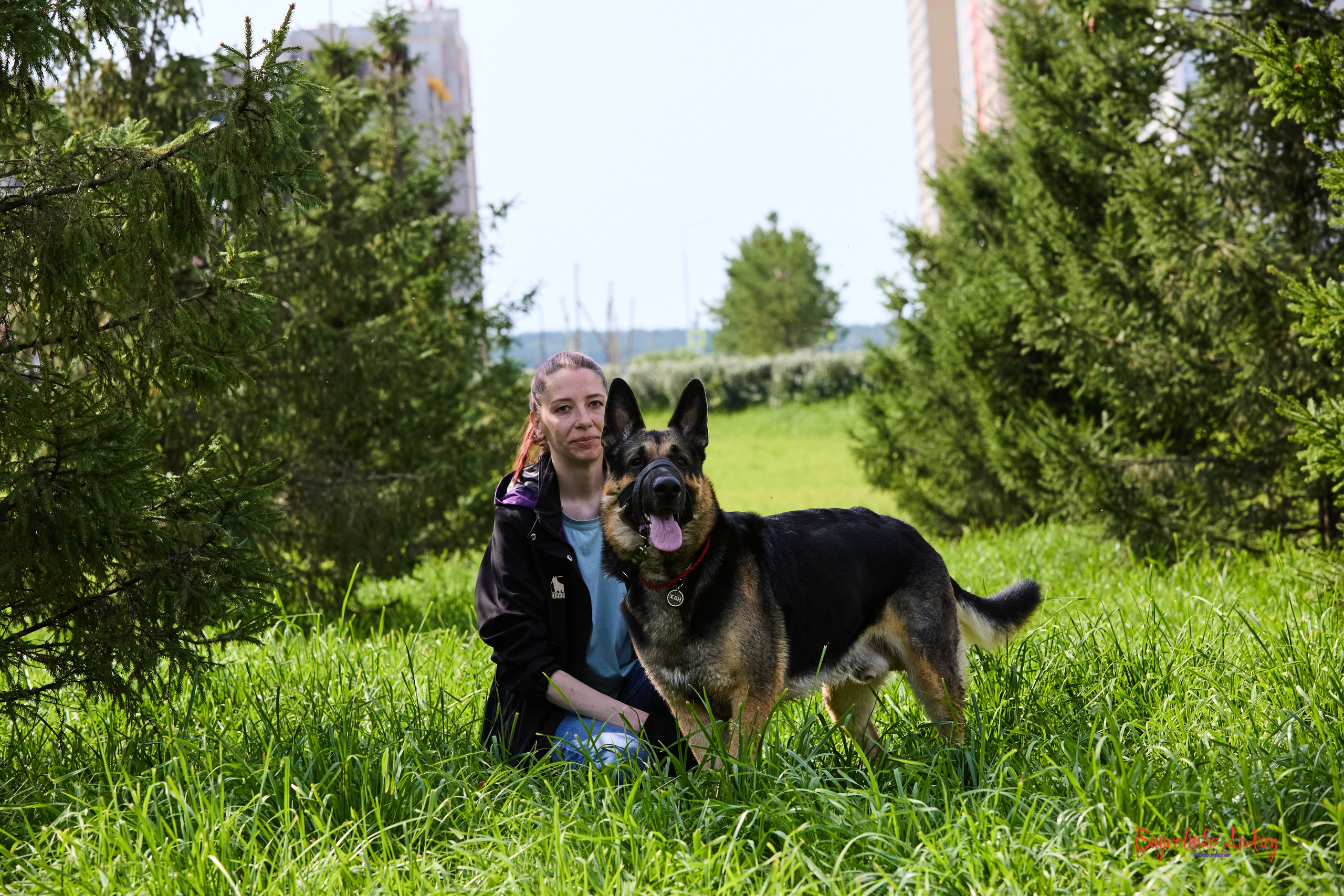 Проект фотопрогулка с хвостиком. Buyvolenko Andrey