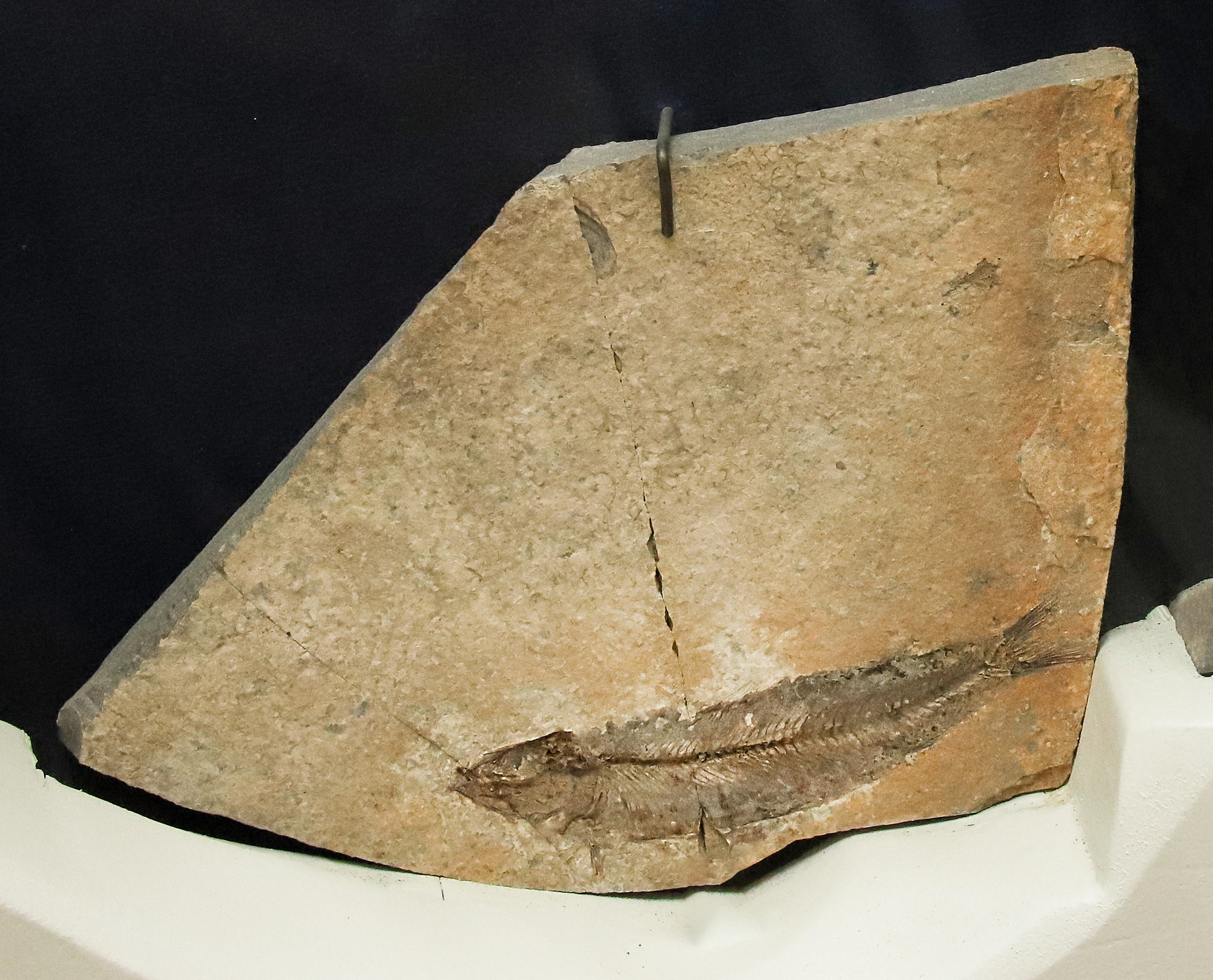 Каменная летопись. Фотограф Юлия Маринина