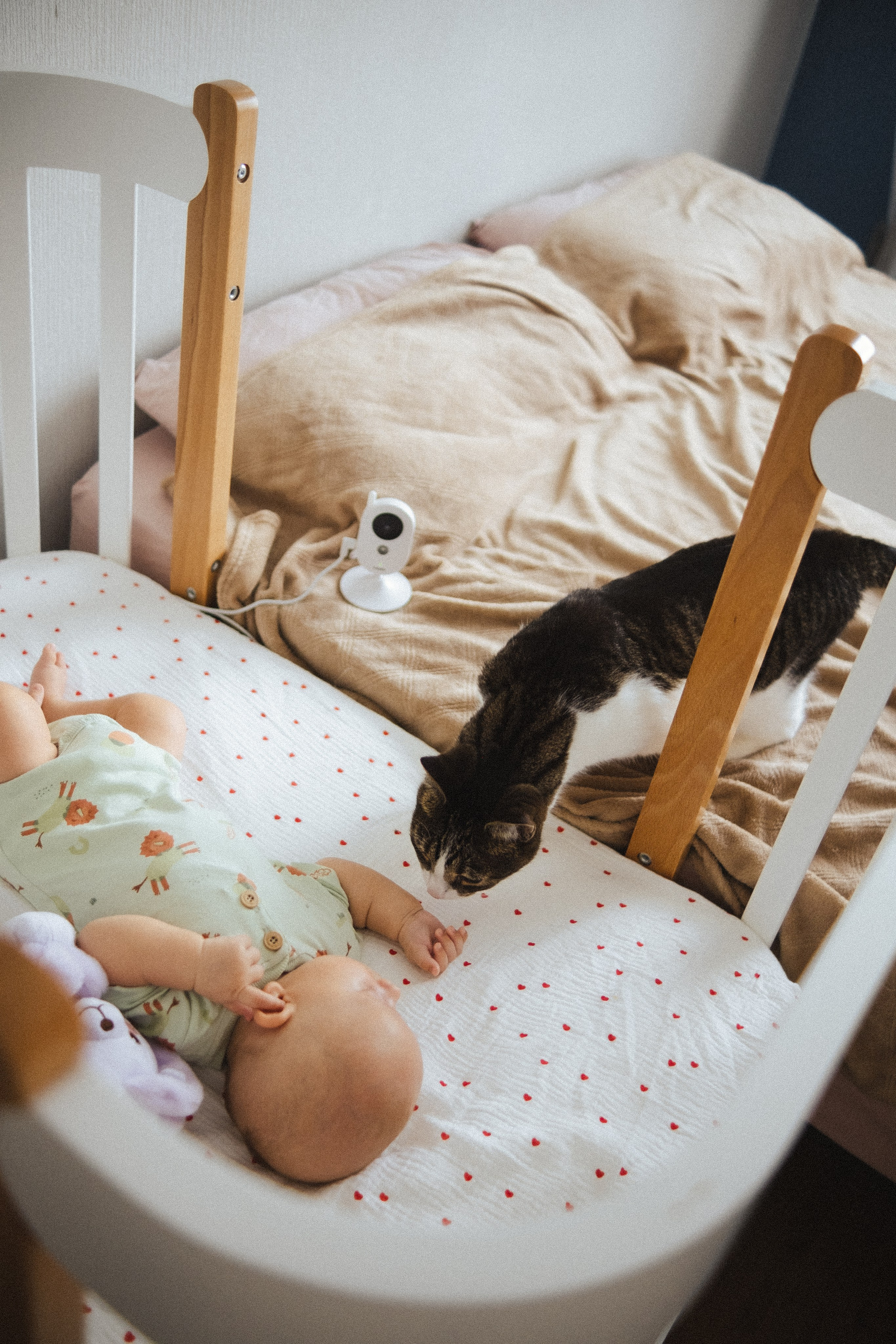 Портфолио. Фотограф в Санкт-Петербурге