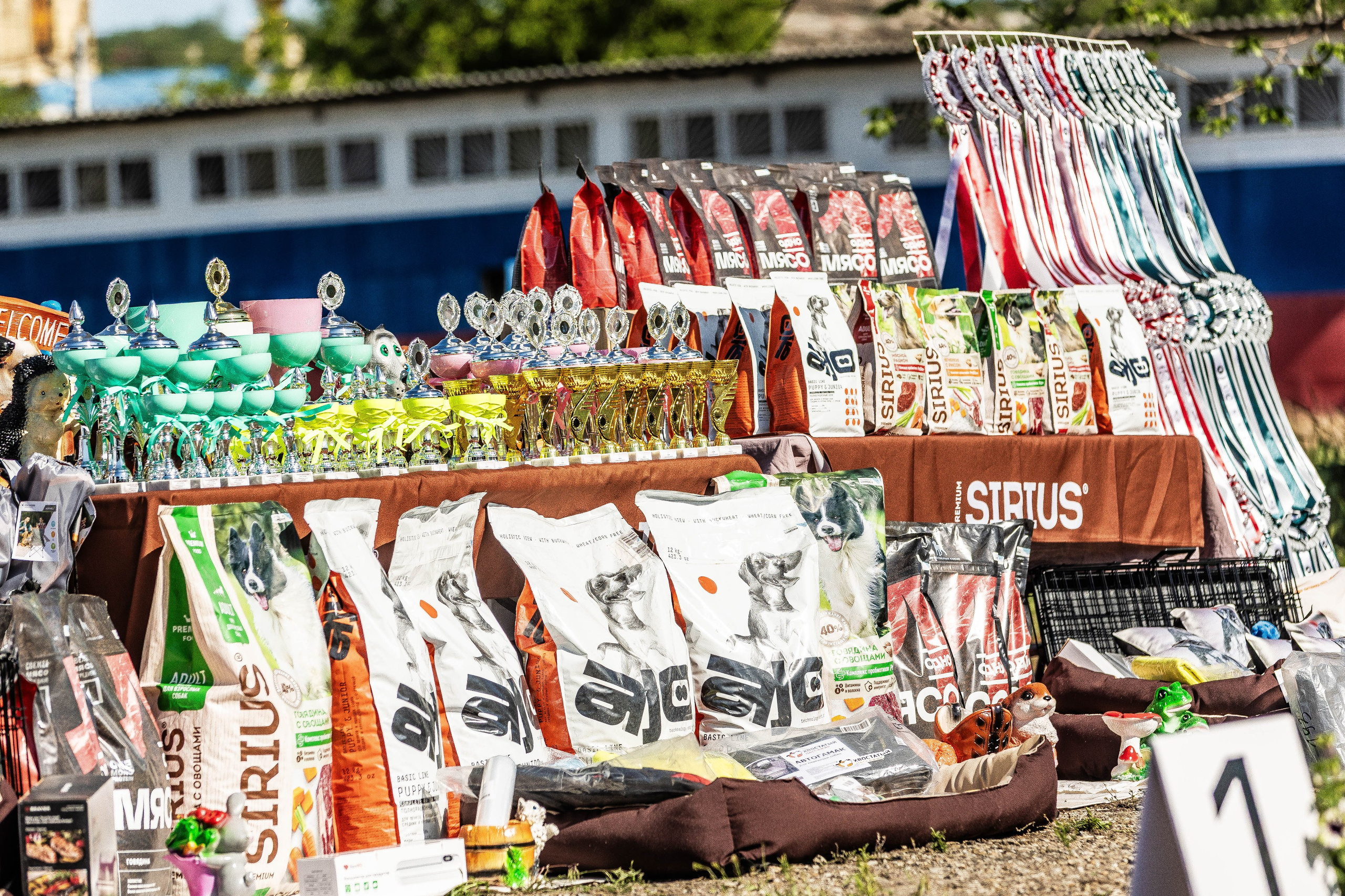 Репортаж (фото с выставок). Фотограф-АниМалист Анна Абрамова