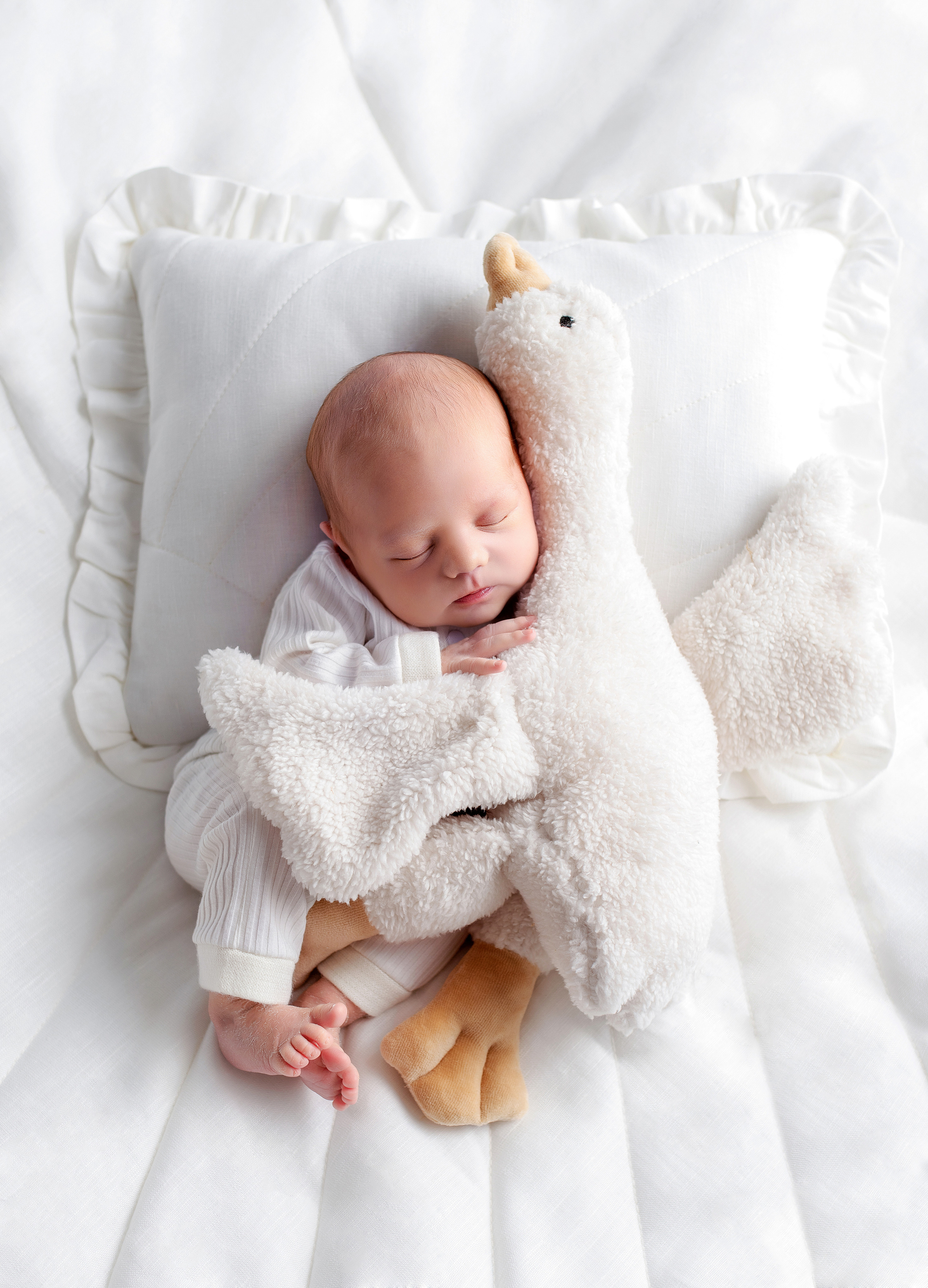 Фотосессия новорожденных в Ярославле. Ньюборн Ярославль. Наталья Михайлова Фотограф новорожденных в Ярославле