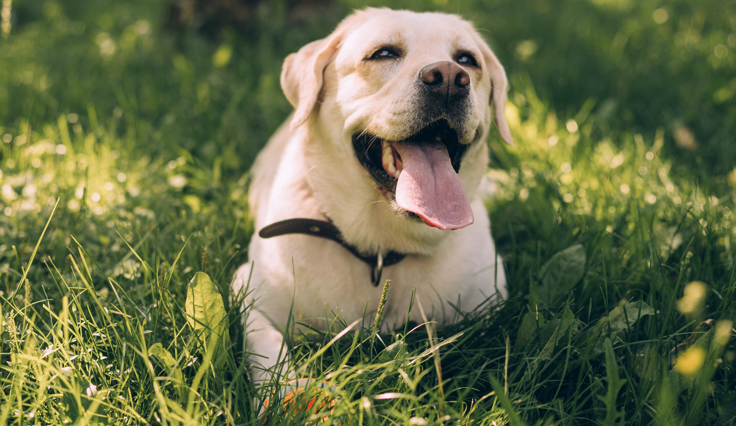 В ожидании нового члена семьи. Семейный, ньюборн фотограф, фотограф на роды в Москве, Виктория Тюльдюкова