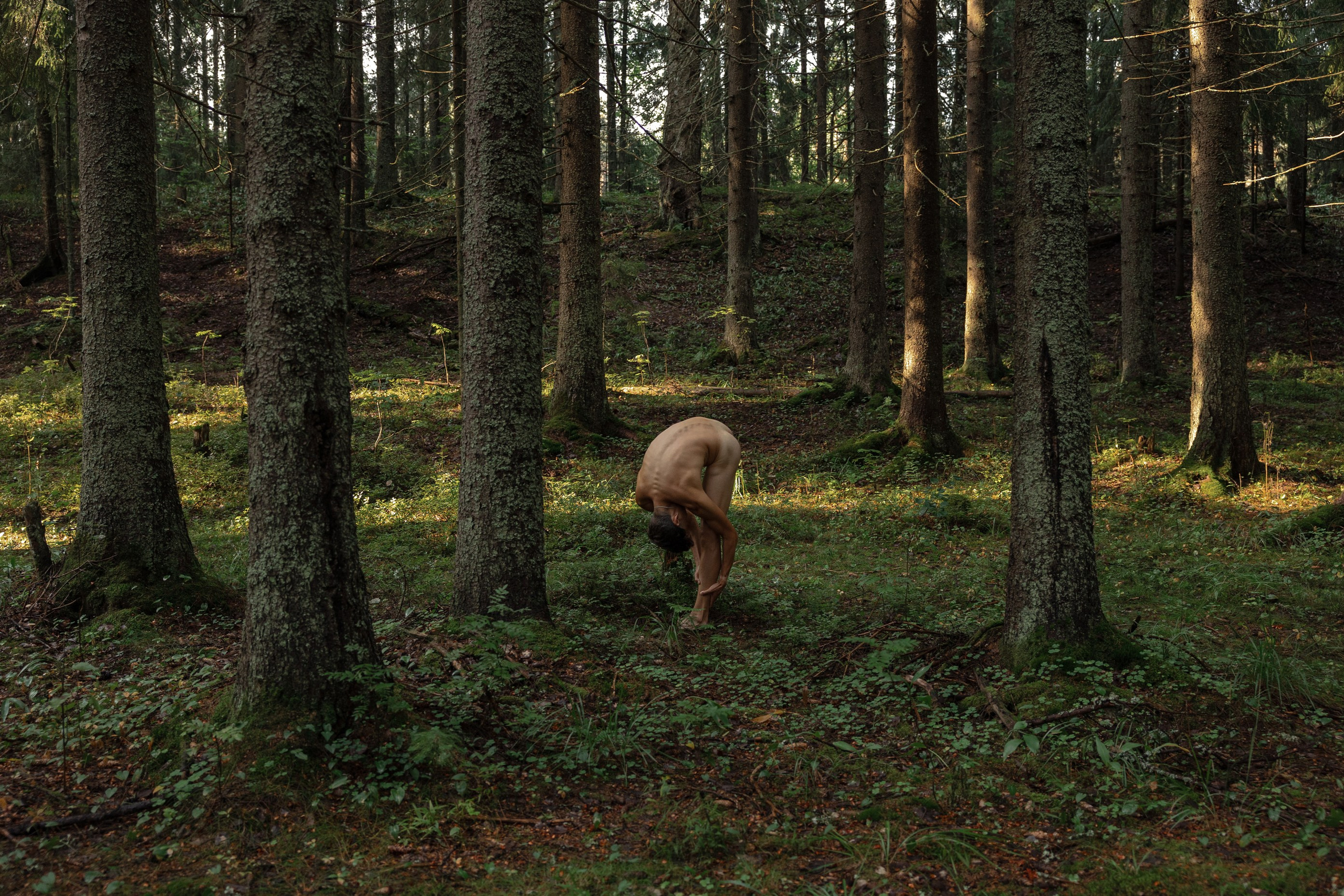 Работа с телесностью