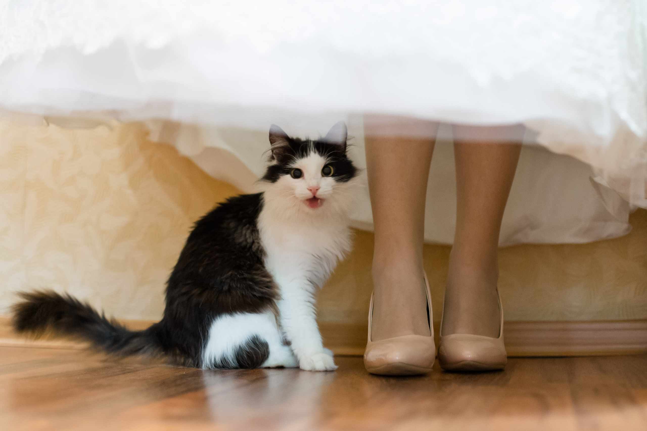 Свадебный микс. Портфолио. Свадебный фотограф в Москве Сергей Тимофеев