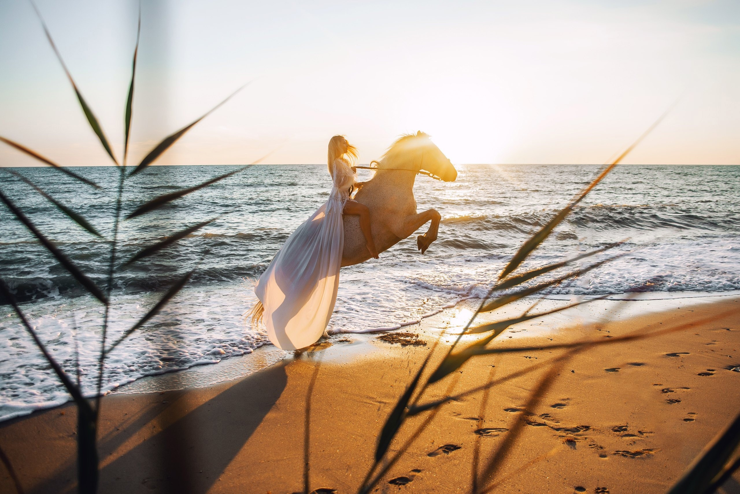 Конные фотосессии. Фотограф Крым Мария Зацаринная