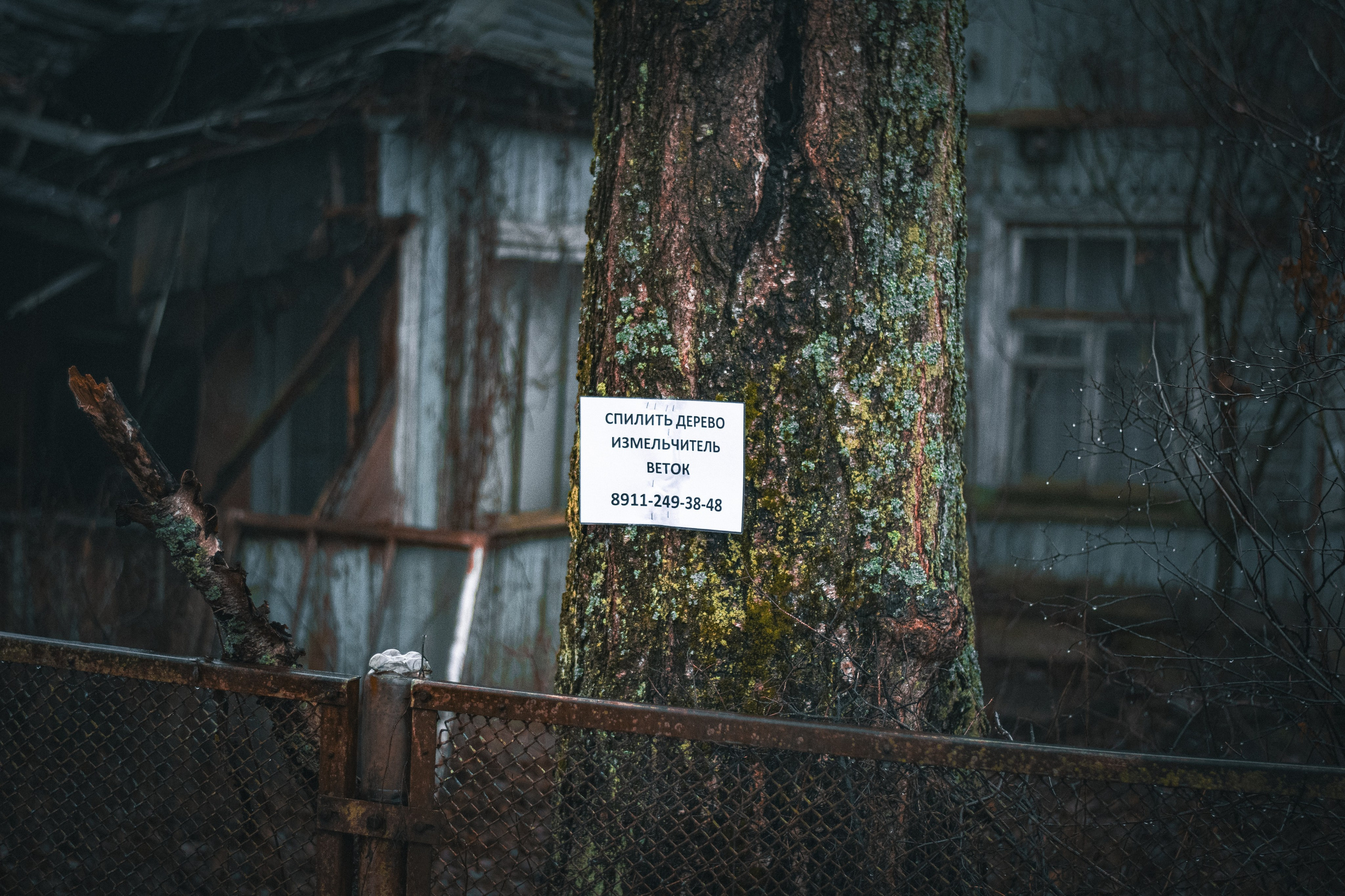 Спил деревьев. Аrbori Culturist