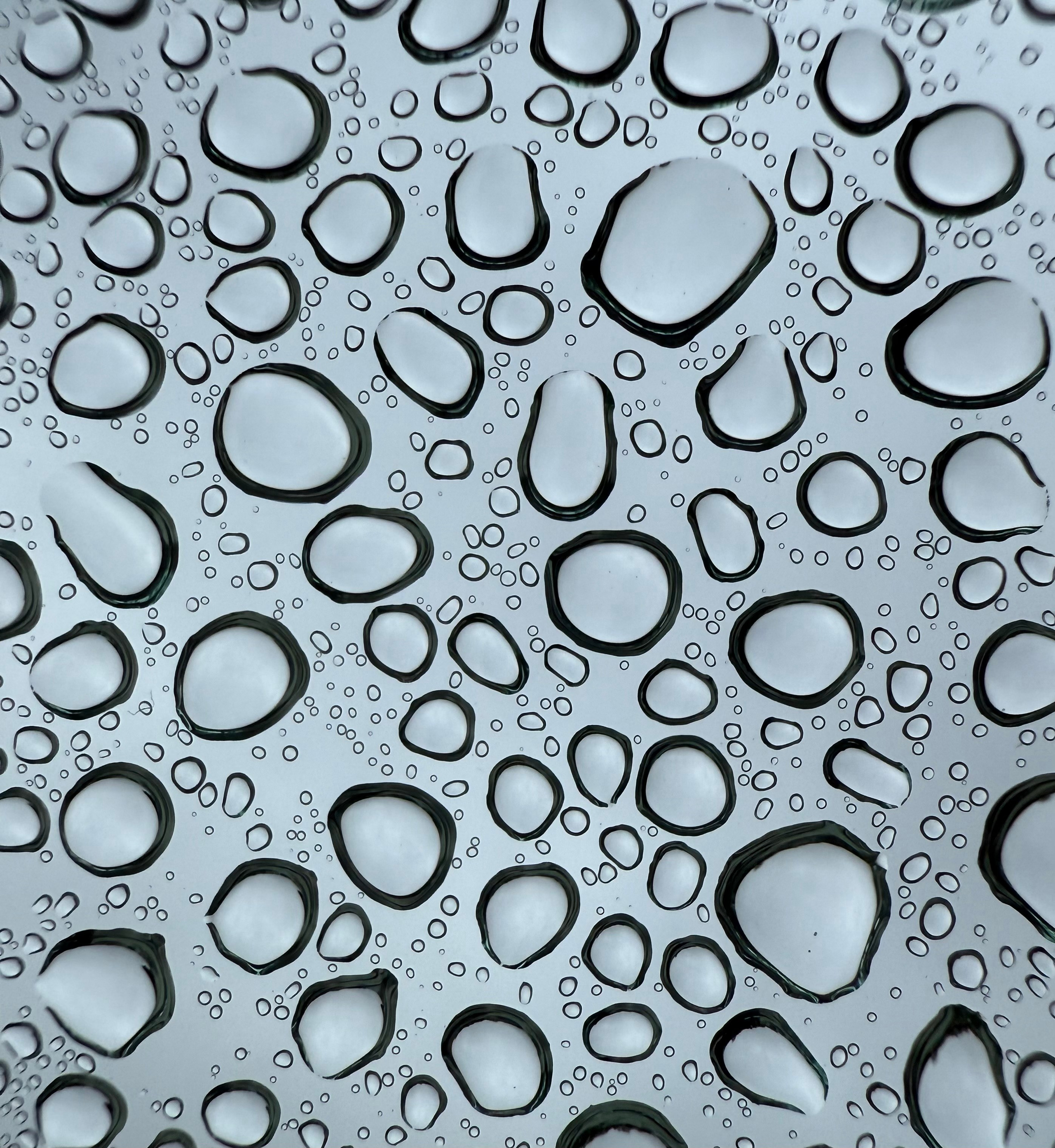 Фотограф Москва. Фотограф и художник в Москве Евгения Нюнина