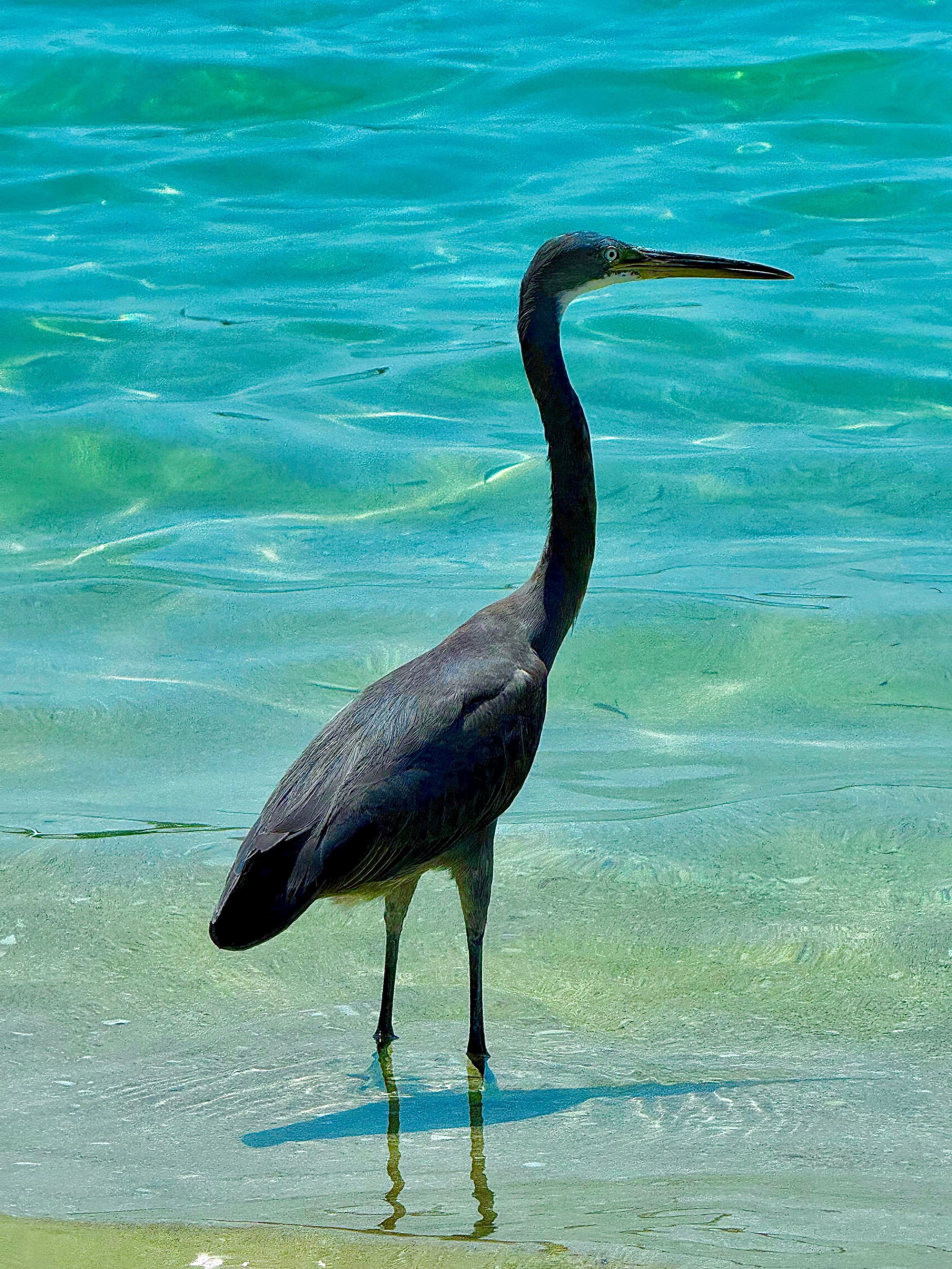 Фотограф Москва. Фотограф и художник в Москве Евгения Нюнина