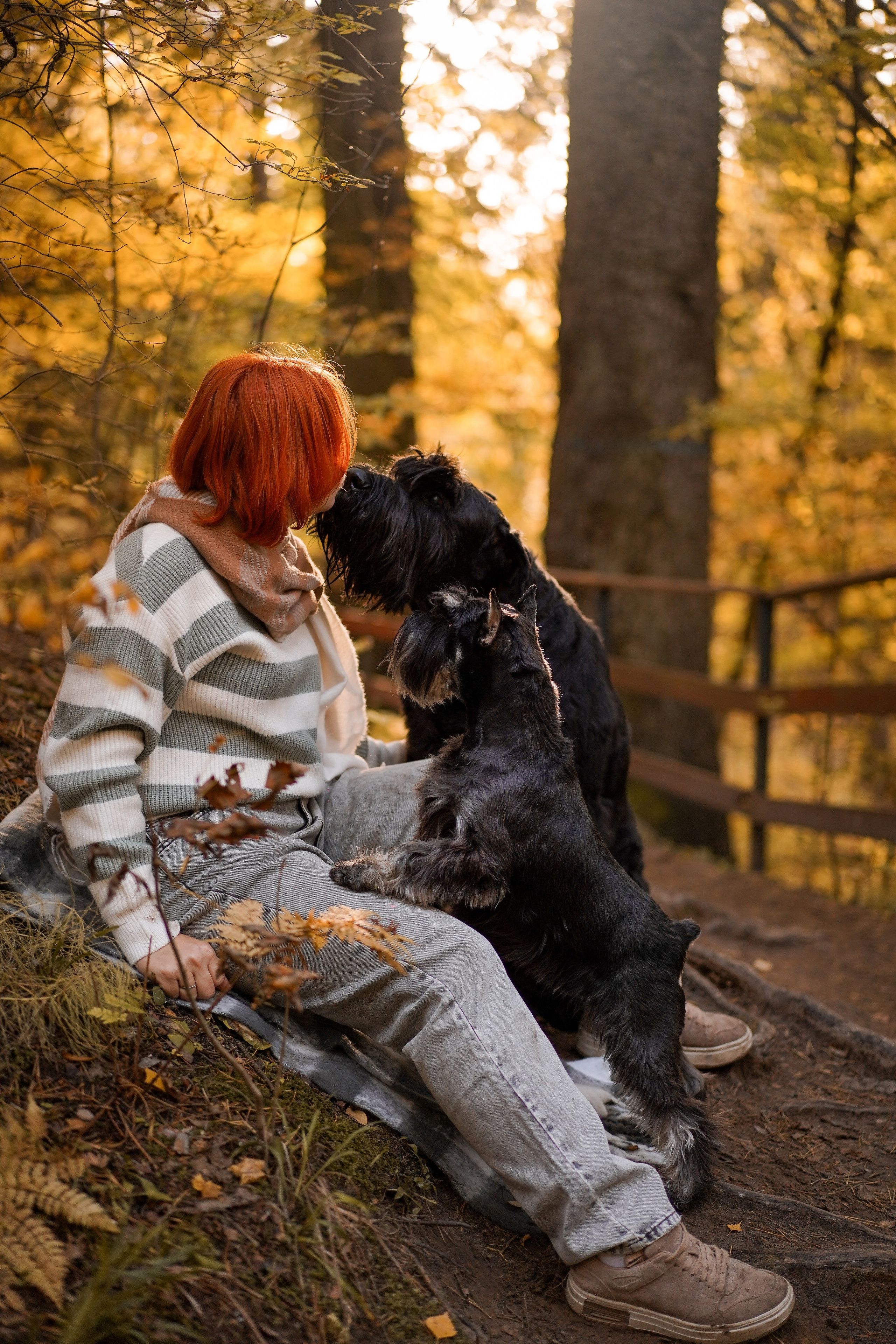 Оля Миша и шнауцеры. Фотограф-анималист в Санкт-Петербурге Яна Мартынова
