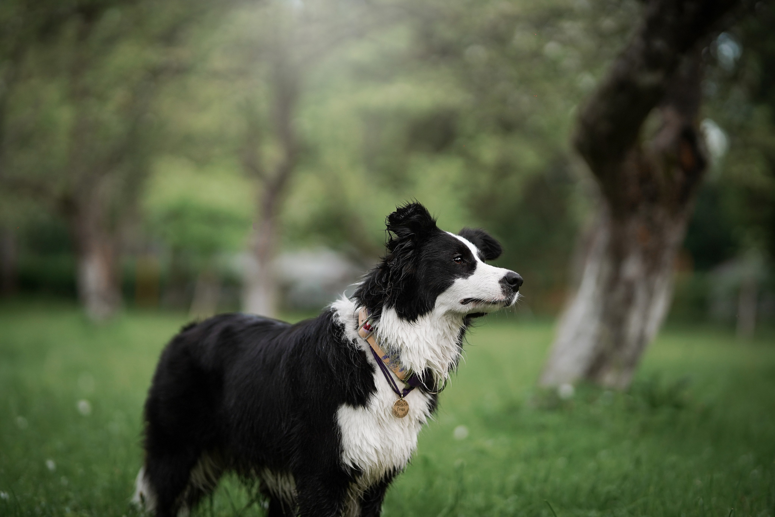 Юля, ее мама и Груша. Фотограф-анималист в Санкт-Петербурге Яна Мартынова