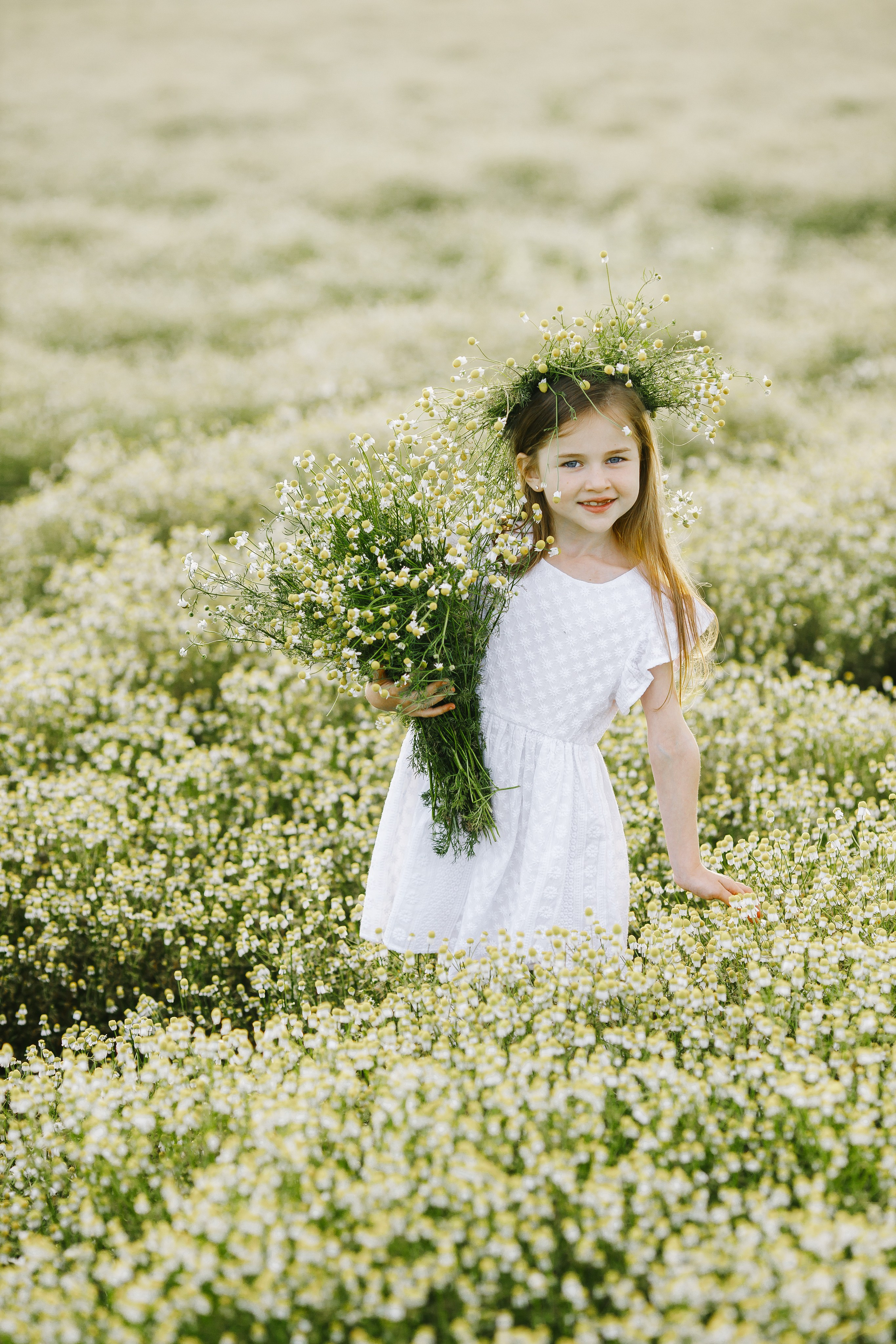 Фотосессии детские и женские в полях. Семейный и детский фотограф в Пскове и Санкт-Петербурге Яна Калинина