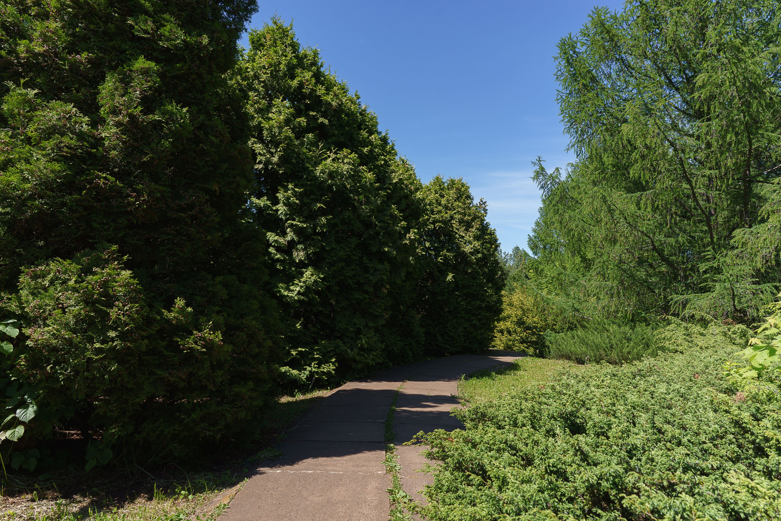 Ботанический сад Уфа