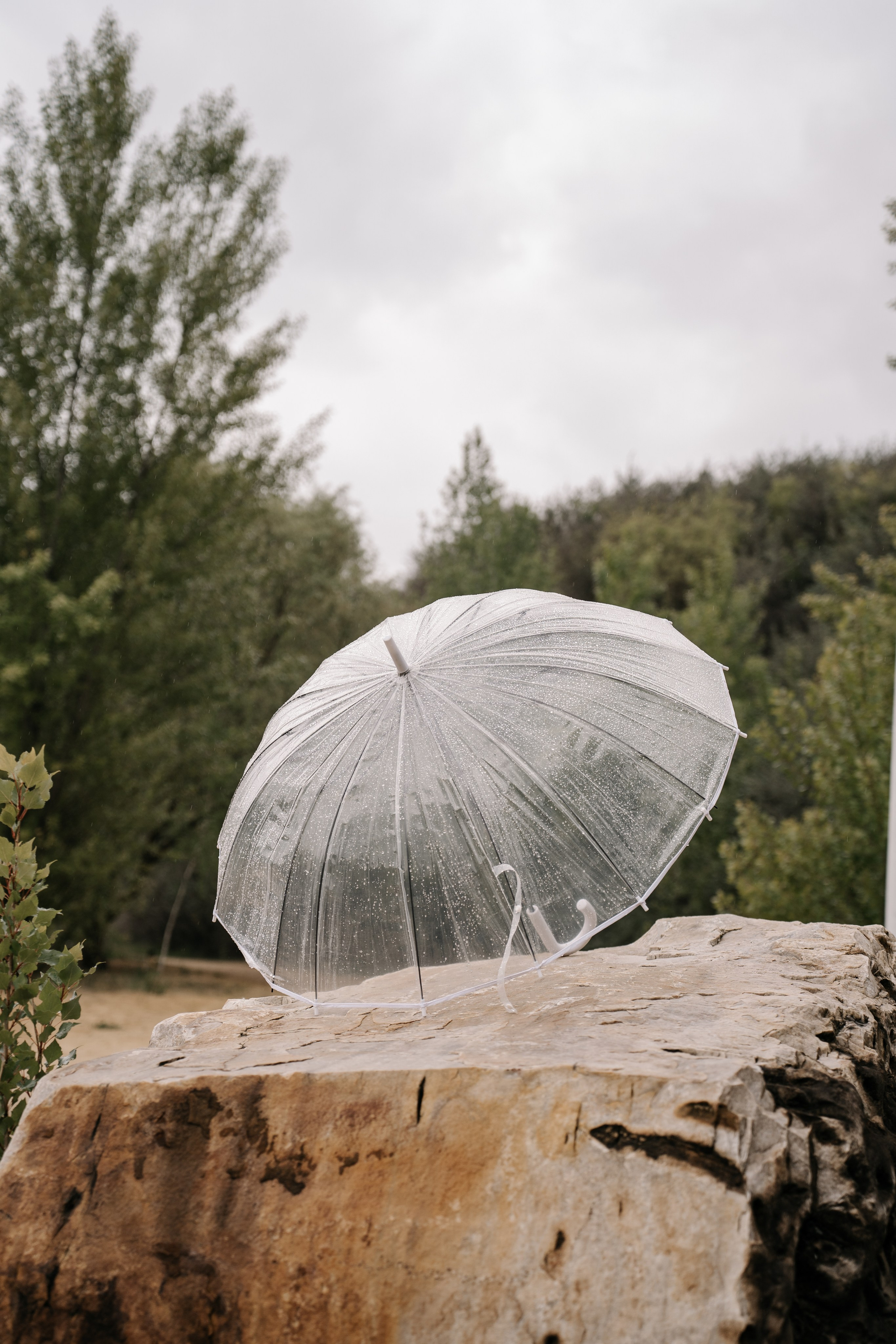 Свадебная история Максима и Татьяны. Свадебный фотограф Светлана Харина