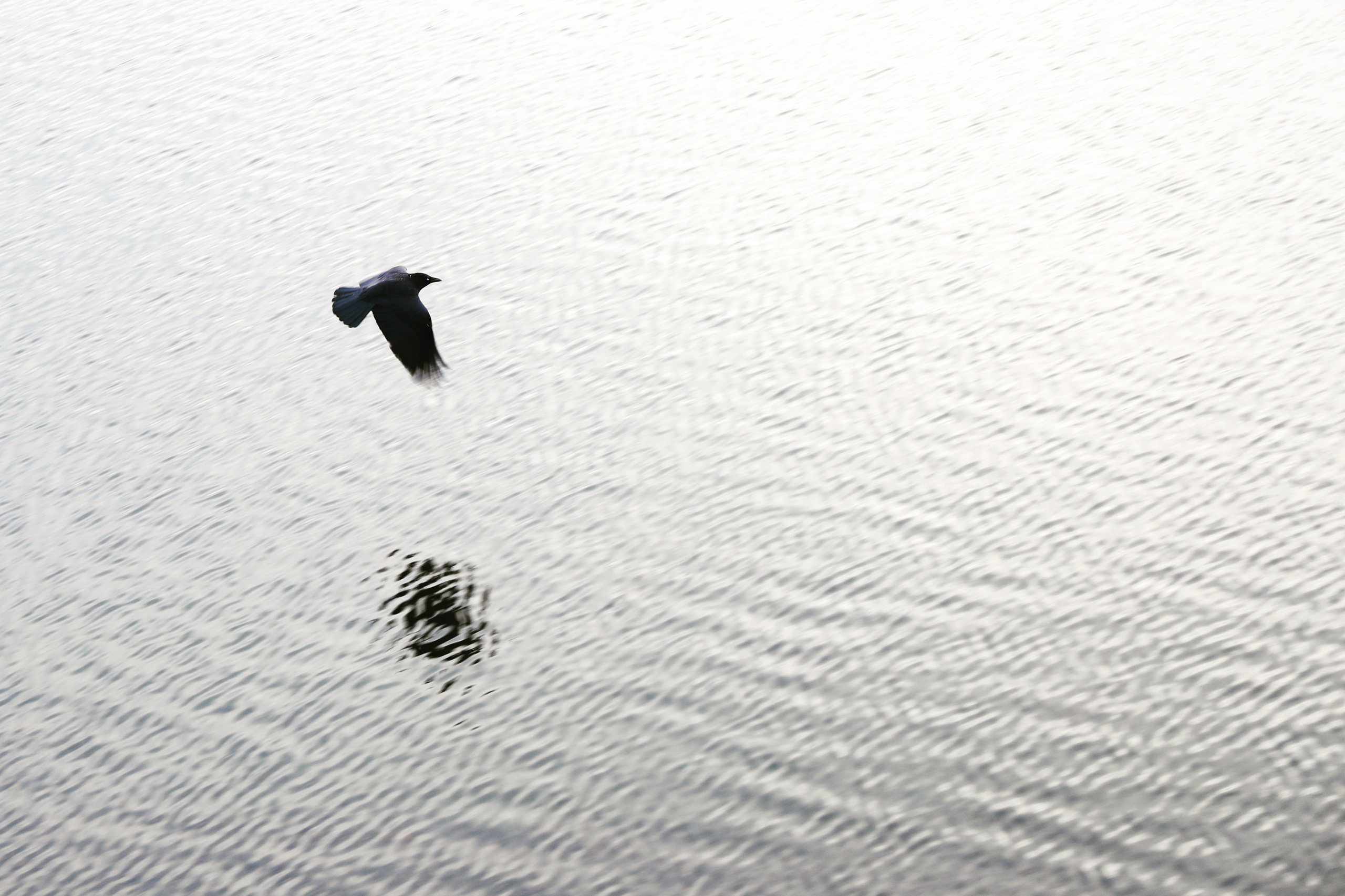 Уличная фотография. Фотограф из Москвы