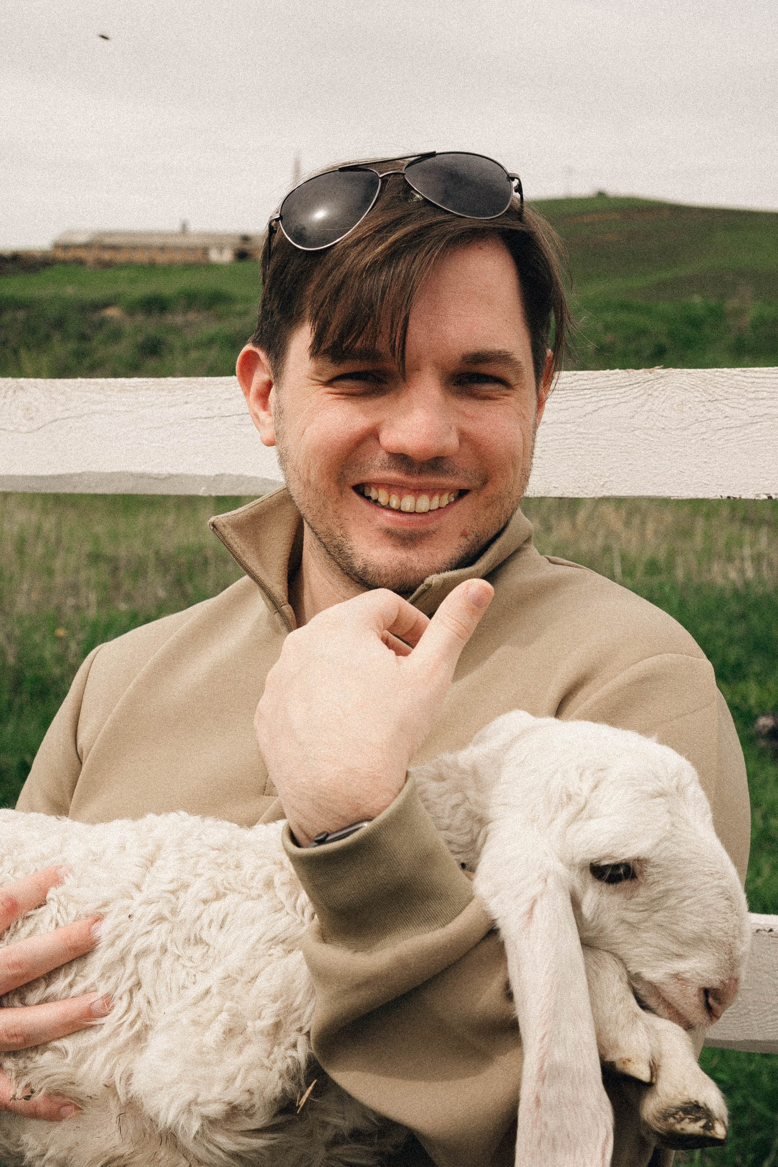 Ферма Альпак. Профессиональный фотограф, Санкт-Петербург — Виктория Богомолова