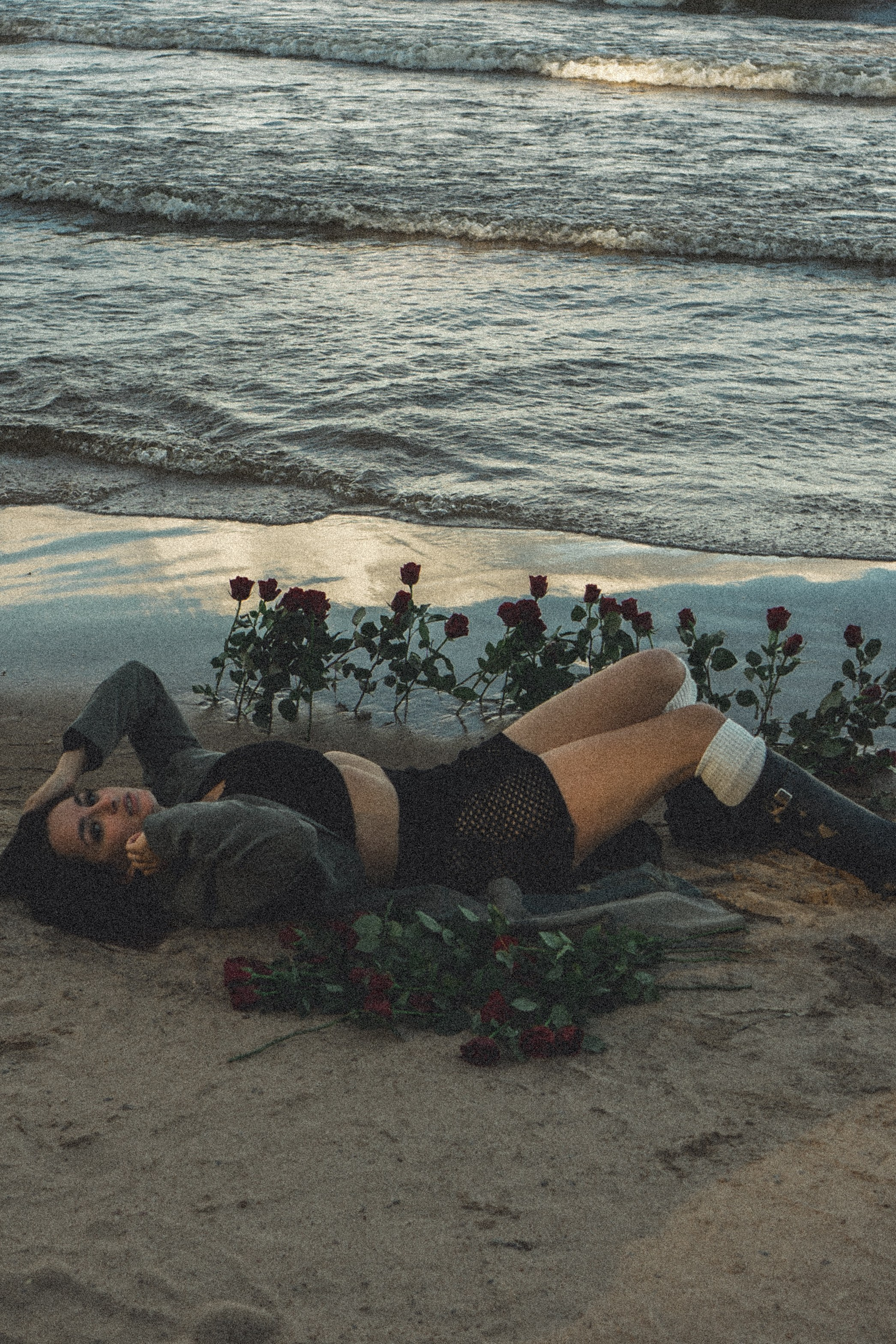 Розы. Профессиональный фотограф, Санкт-Петербург — Виктория Богомолова