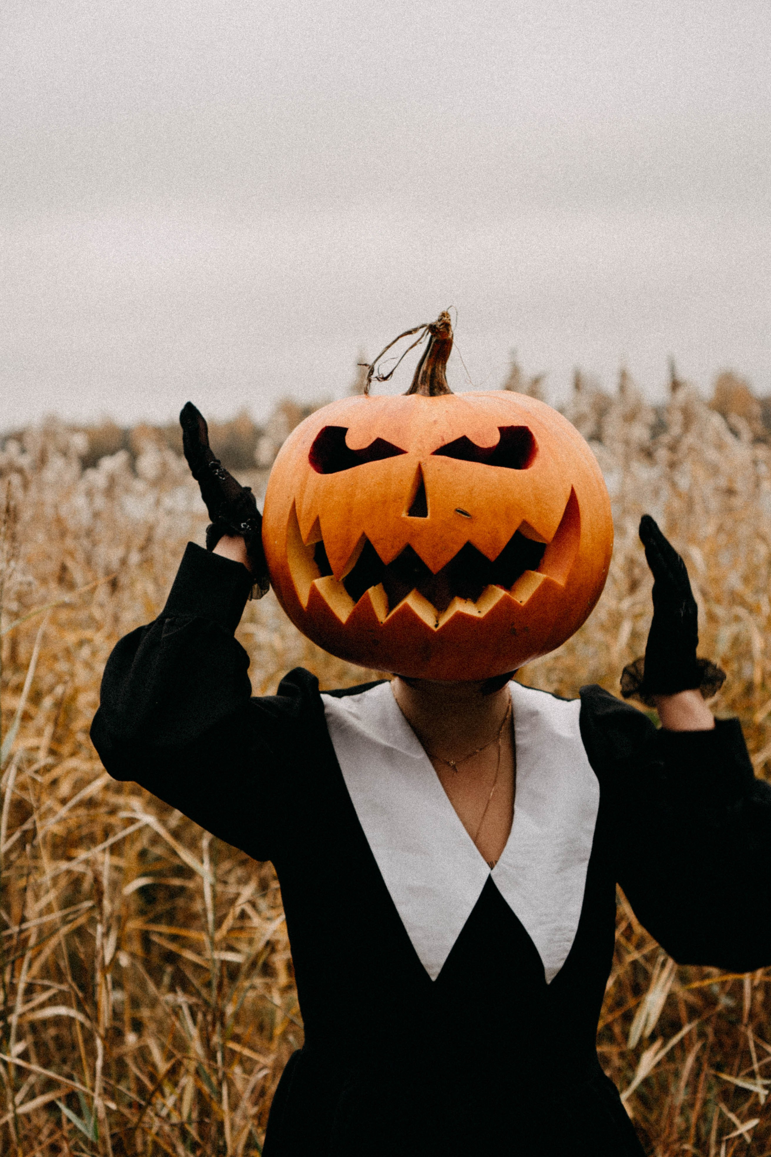 Осеняя. Профессиональный фотограф, Санкт-Петербург — Виктория Богомолова