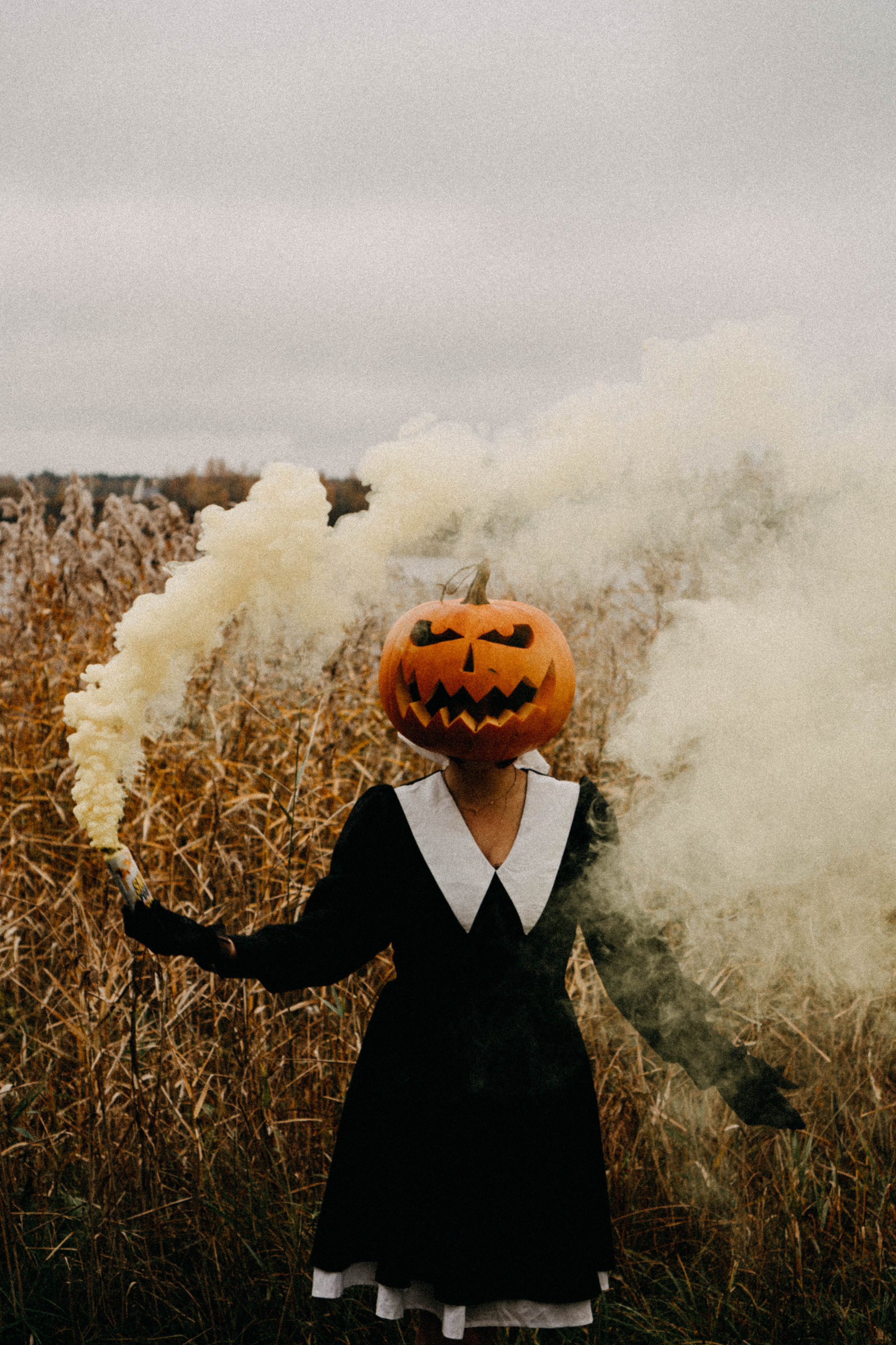 Осеняя. Профессиональный фотограф, Санкт-Петербург — Виктория Богомолова