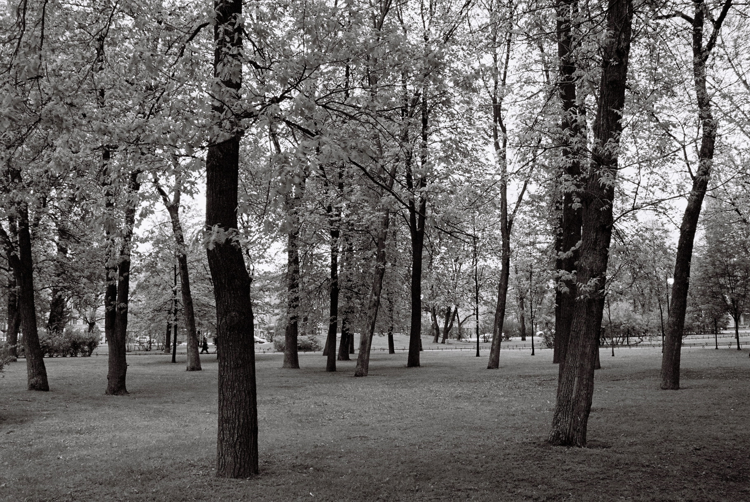 Film. Ruslan UI Dev Page