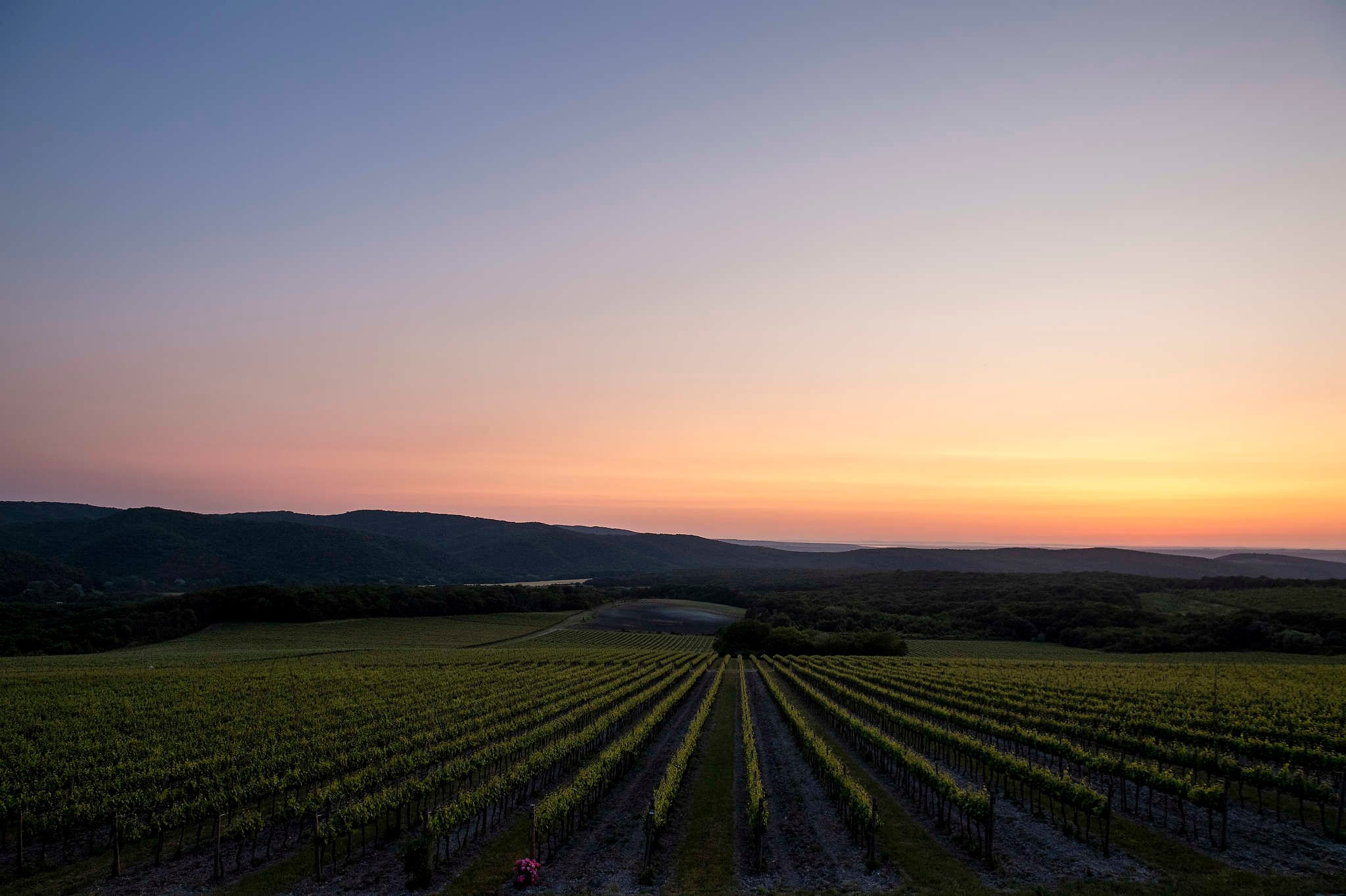 Фотограф Михаил Мордасов. 18 лет работы профессиональным фотографом. Репортажный фотограф в Сочи — Михаил Мордасов
