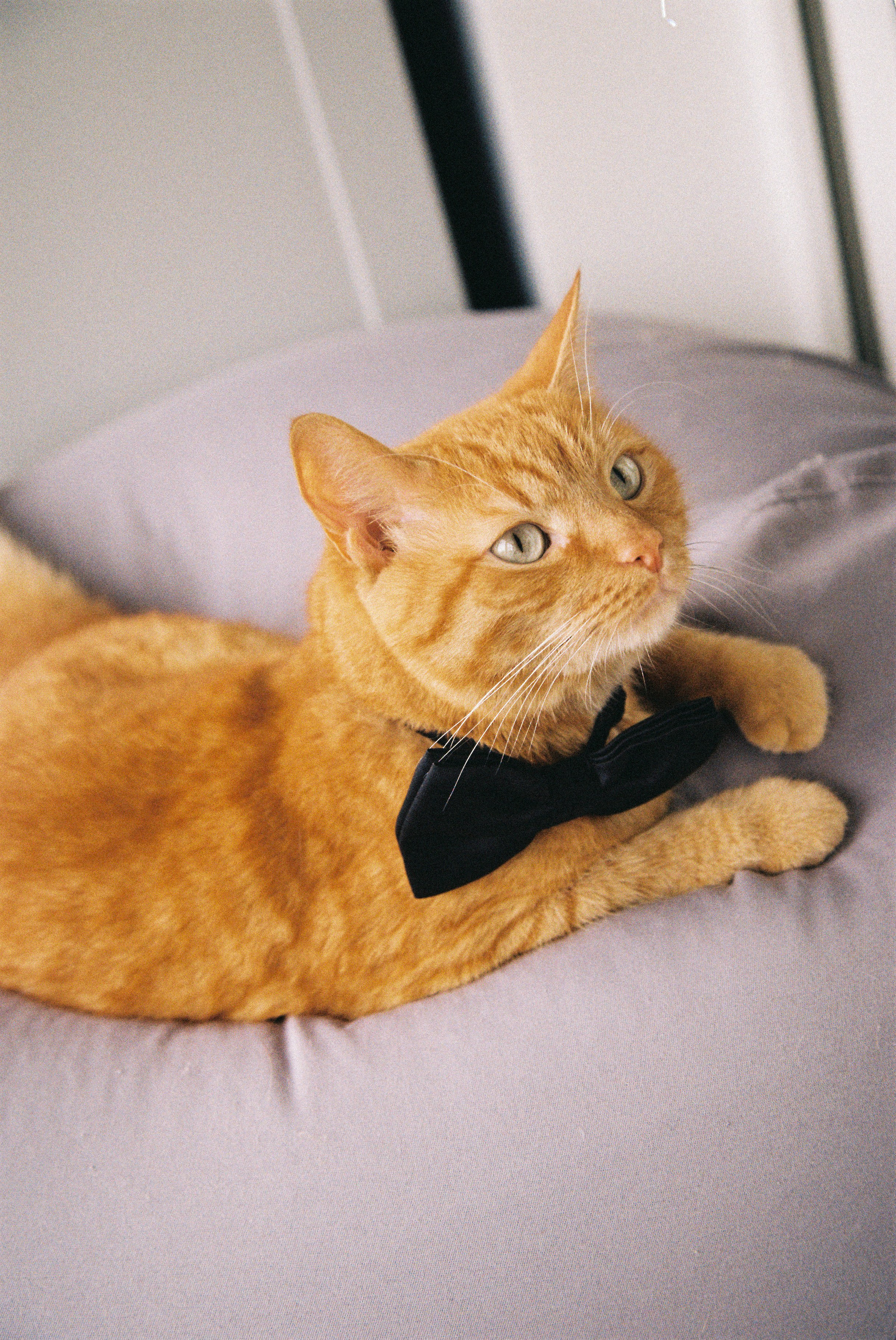 Ксеня и Влад. Фотограф Екатерина Максимова: семейные, индивидуальные съемки, свадьбы