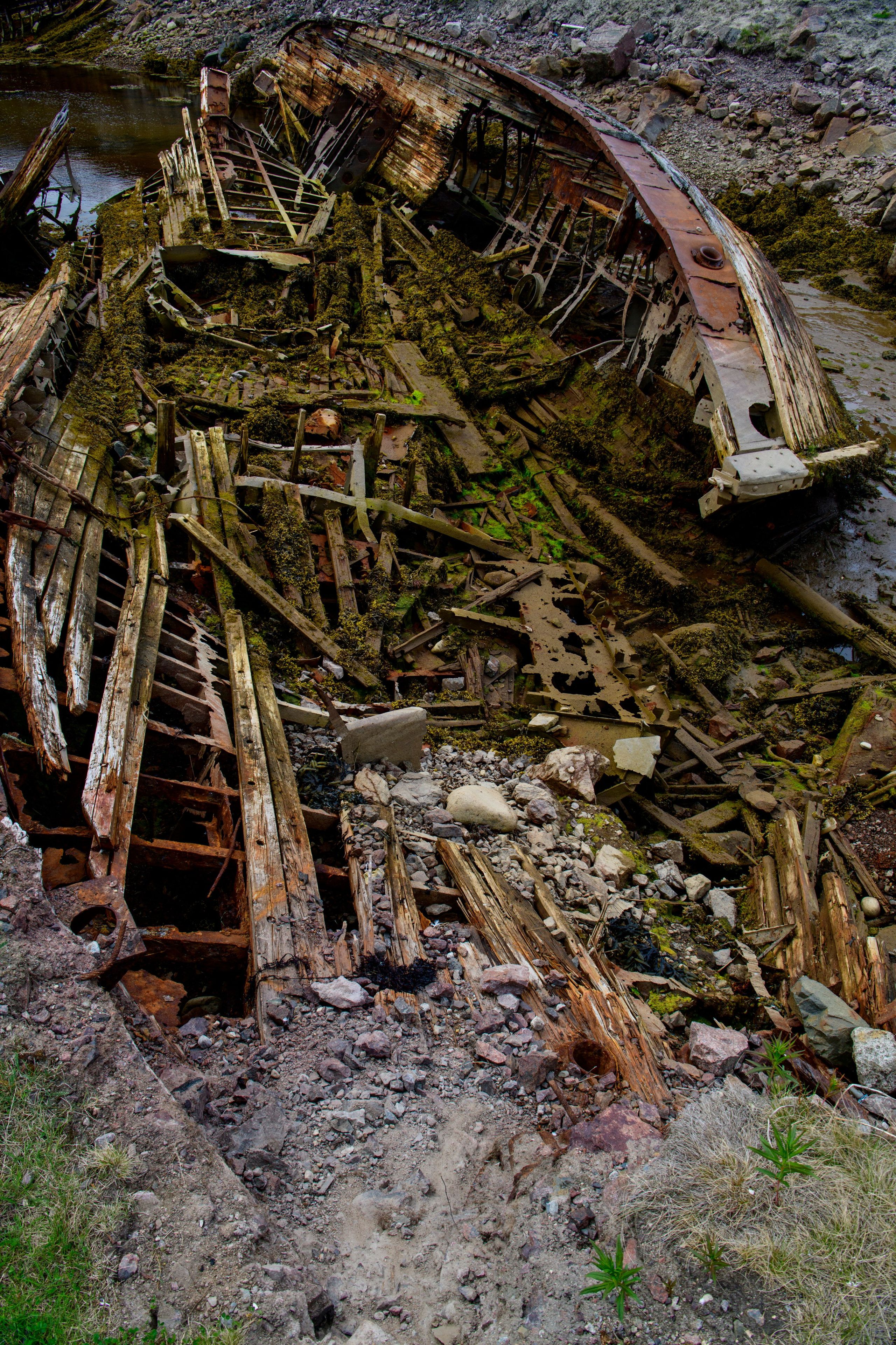 Мурманская область. Июнь 2024. Фотограф Сергей Пупонин